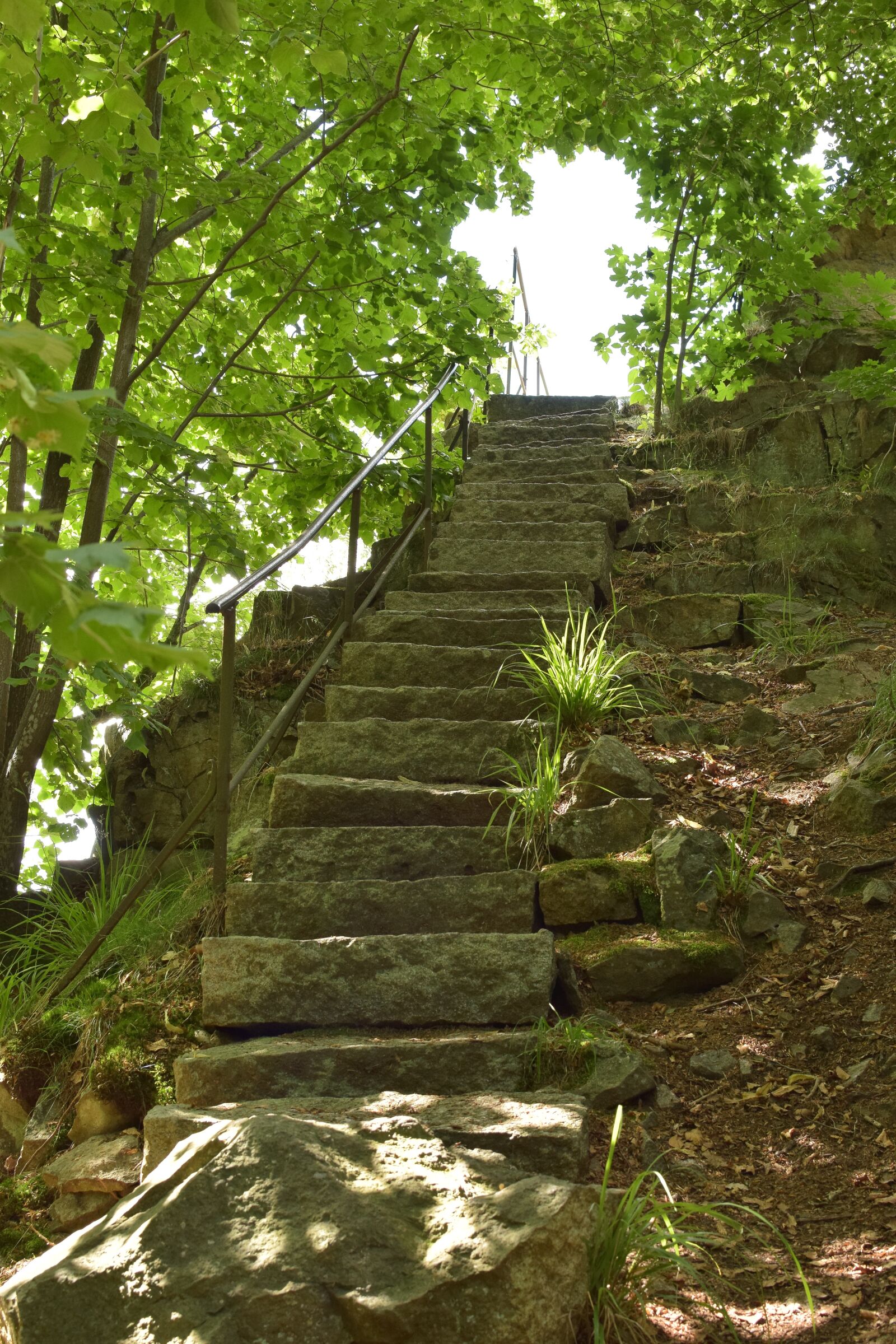Nikon D5300 sample photo. Scharfenstein, stairs, gradually photography