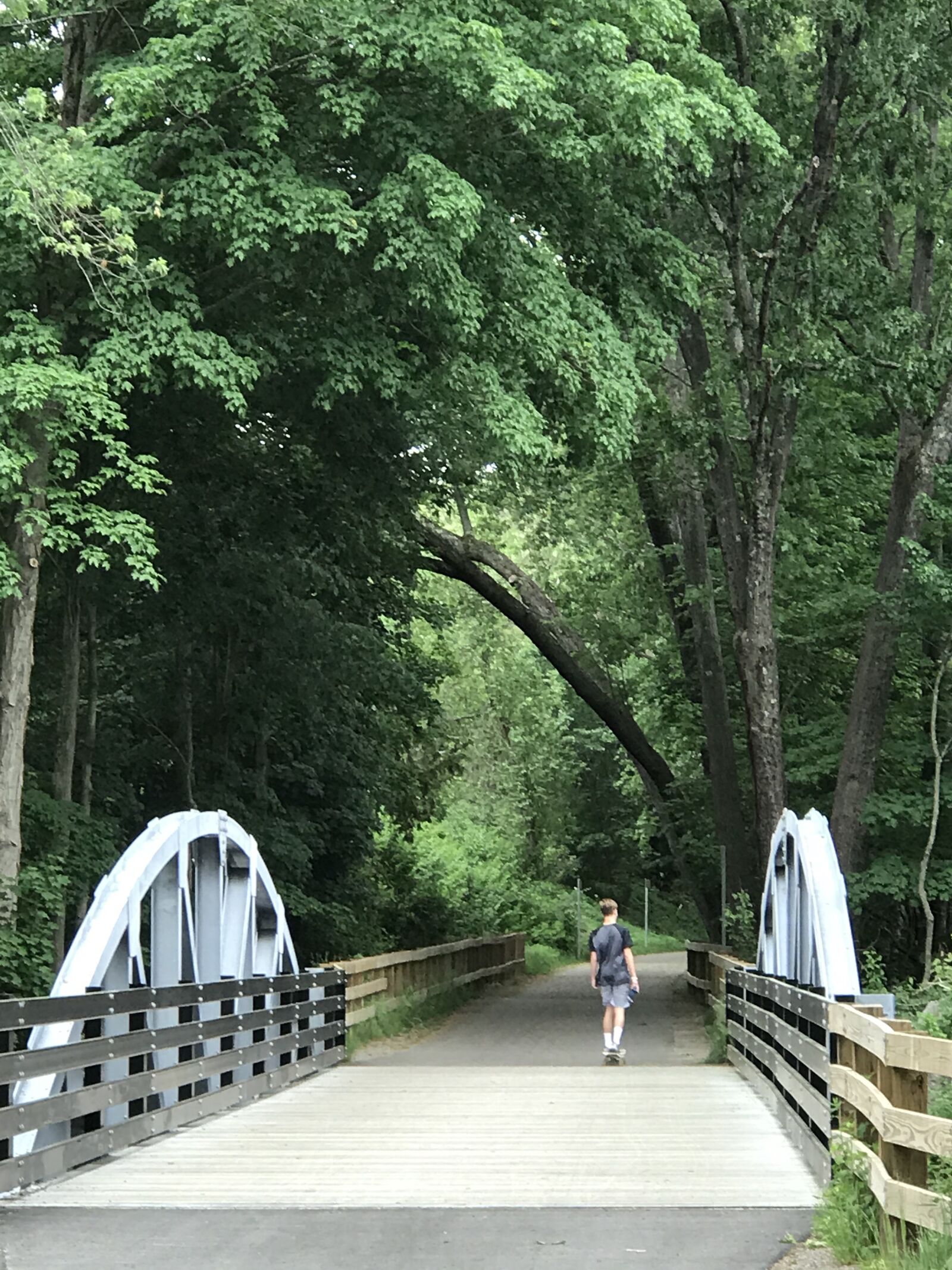 Apple iPhone 7 Plus sample photo. Bridge, trees, crossing photography