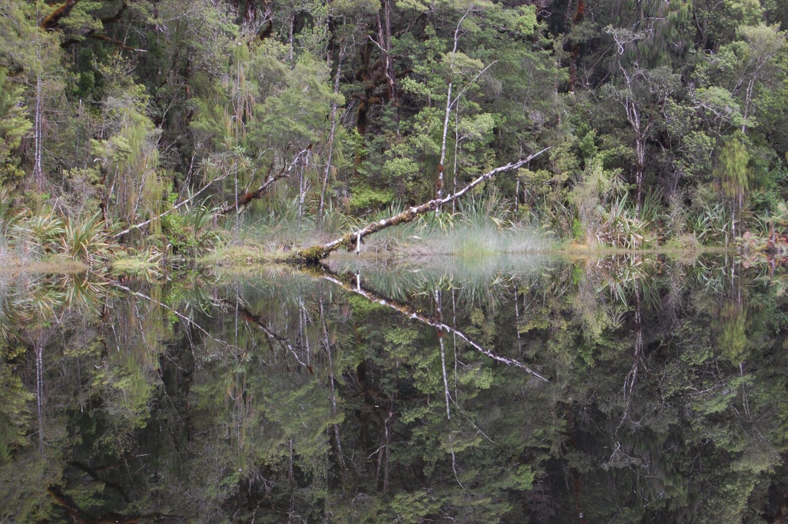 Nikon D40 sample photo. Mirror lake, new zealand photography