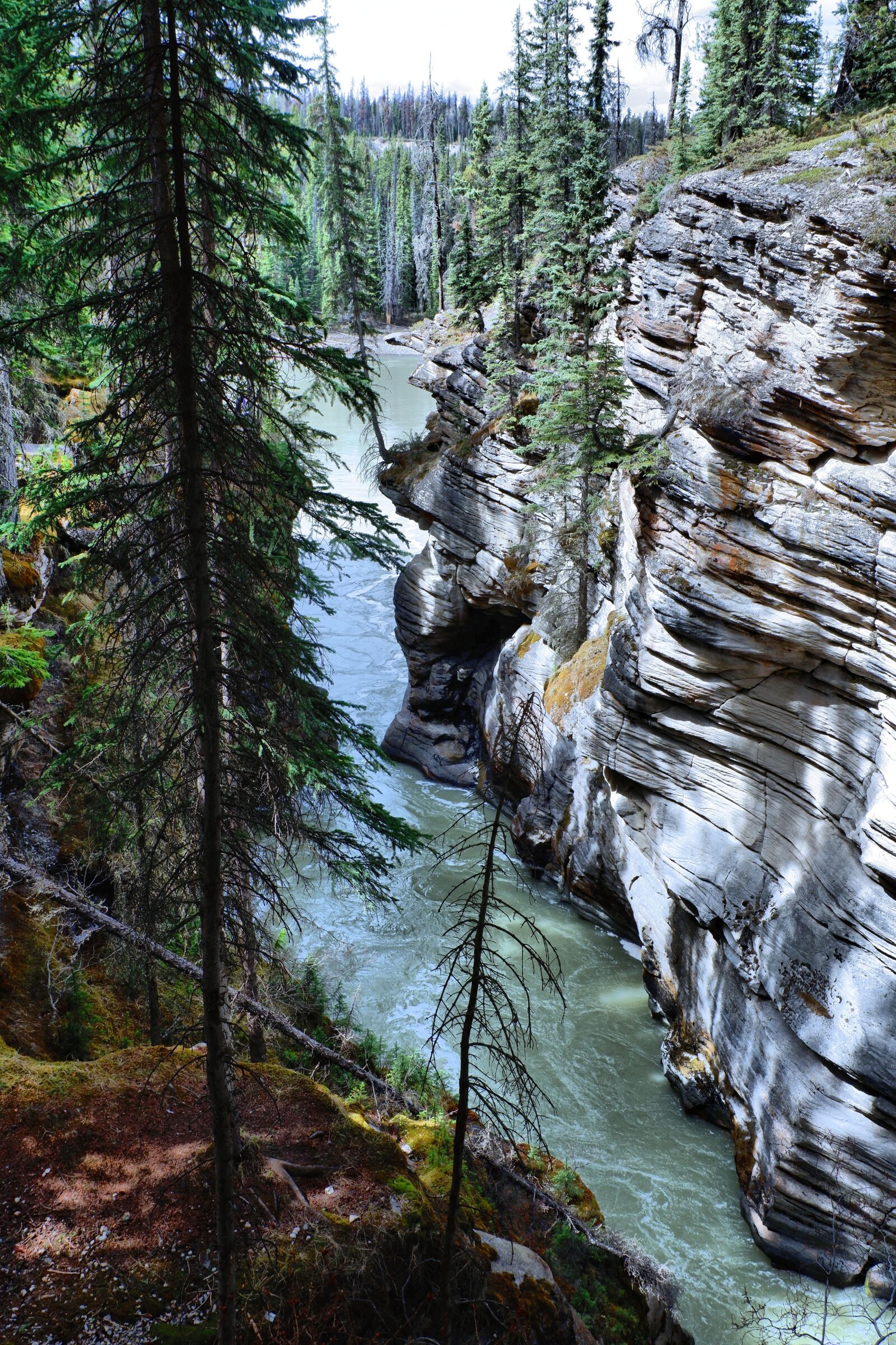 Fujifilm X-A3 sample photo. Waterfall, rockies, canada photography