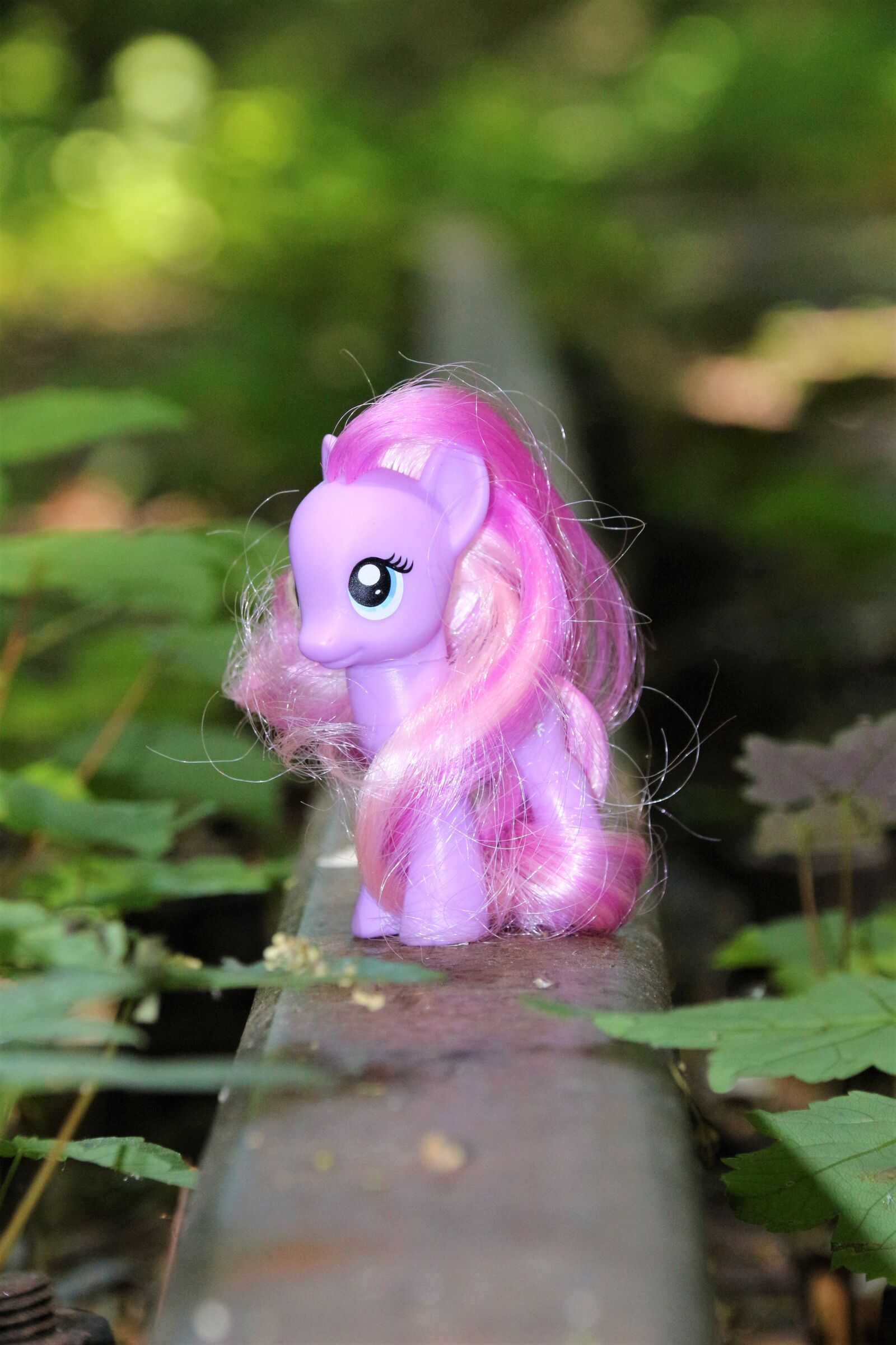Canon EOS 700D (EOS Rebel T5i / EOS Kiss X7i) sample photo. My little pony, nature photography