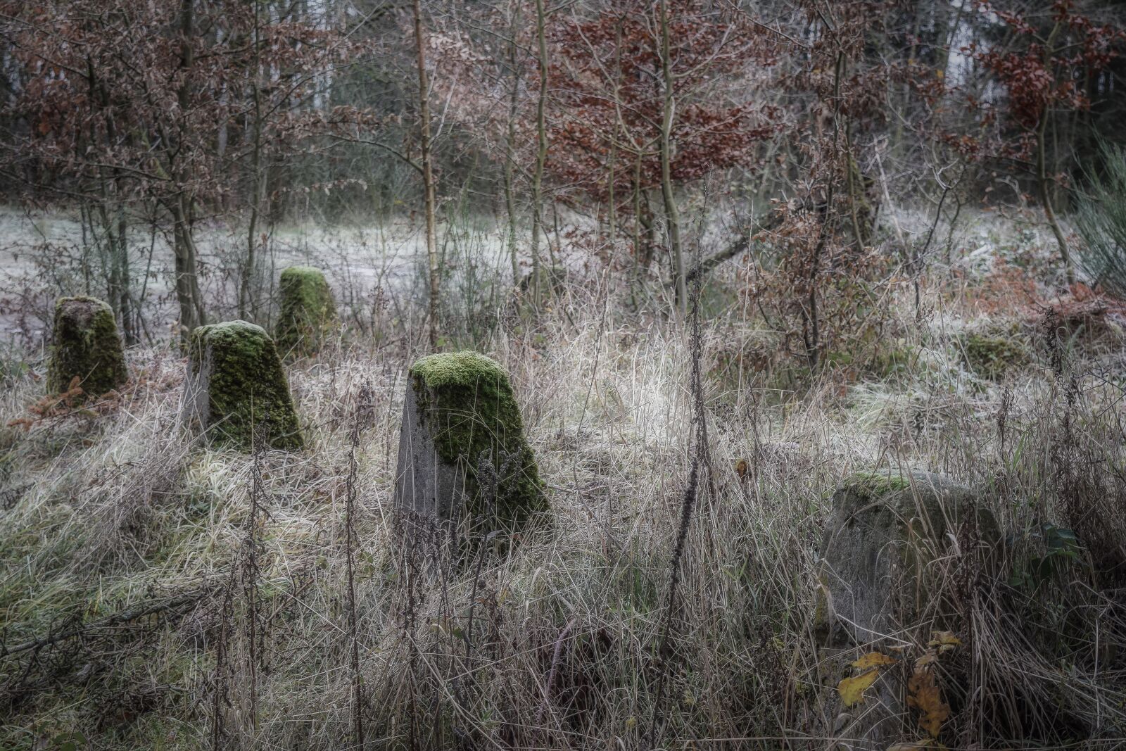 Nikon D3300 sample photo. Landscape, military, nature photography