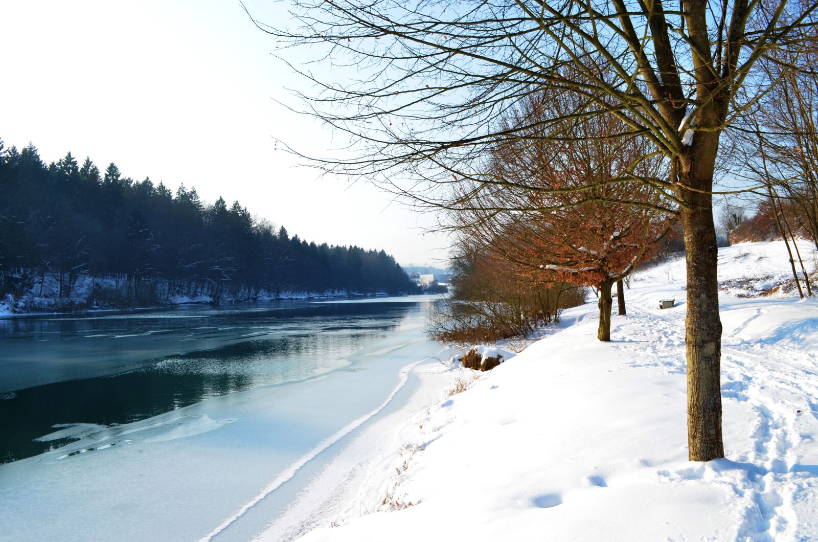Nikon D5100 sample photo. River, tree, water photography
