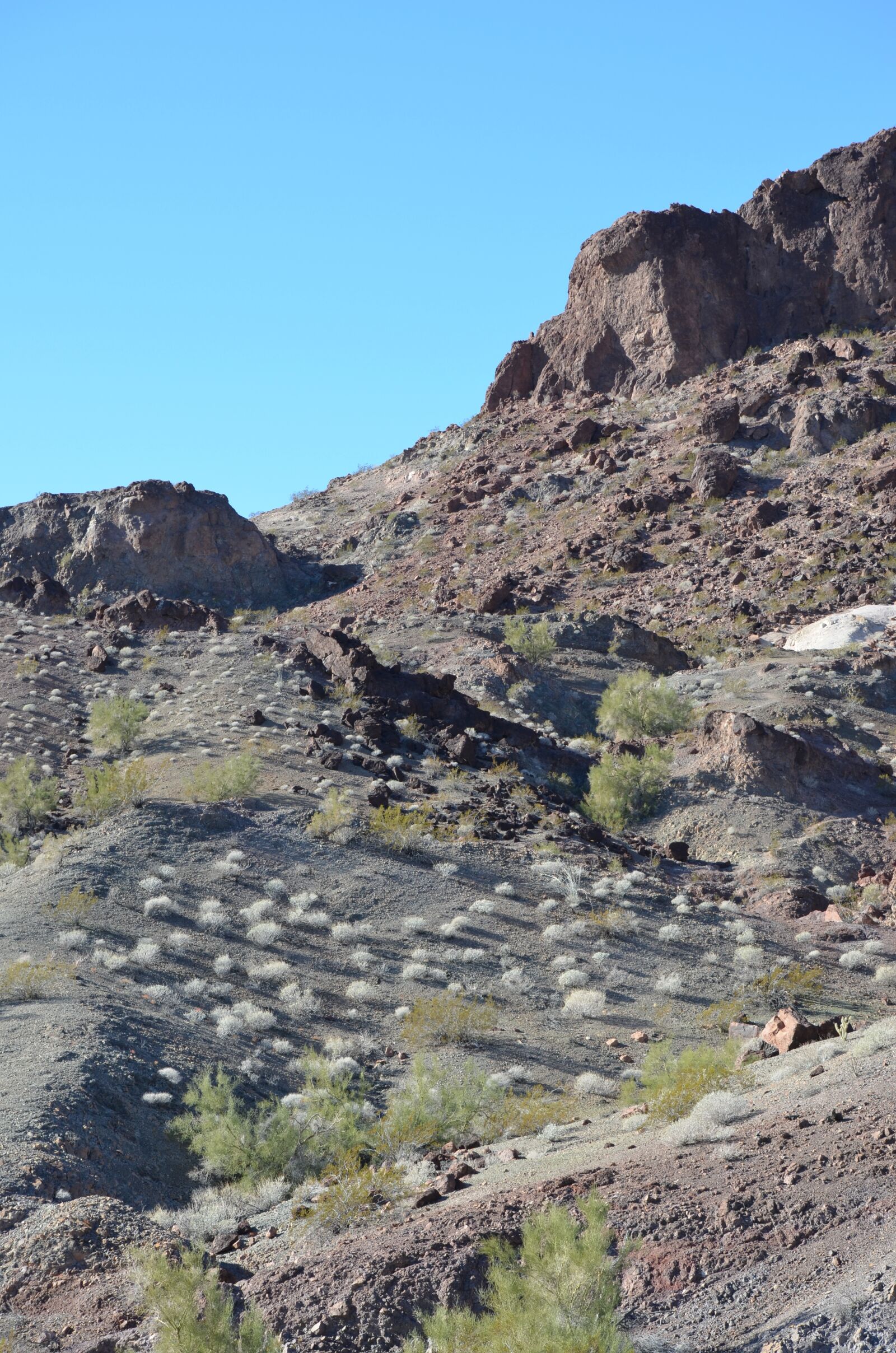 Nikon D5100 sample photo. Arizona, scenic, desert photography