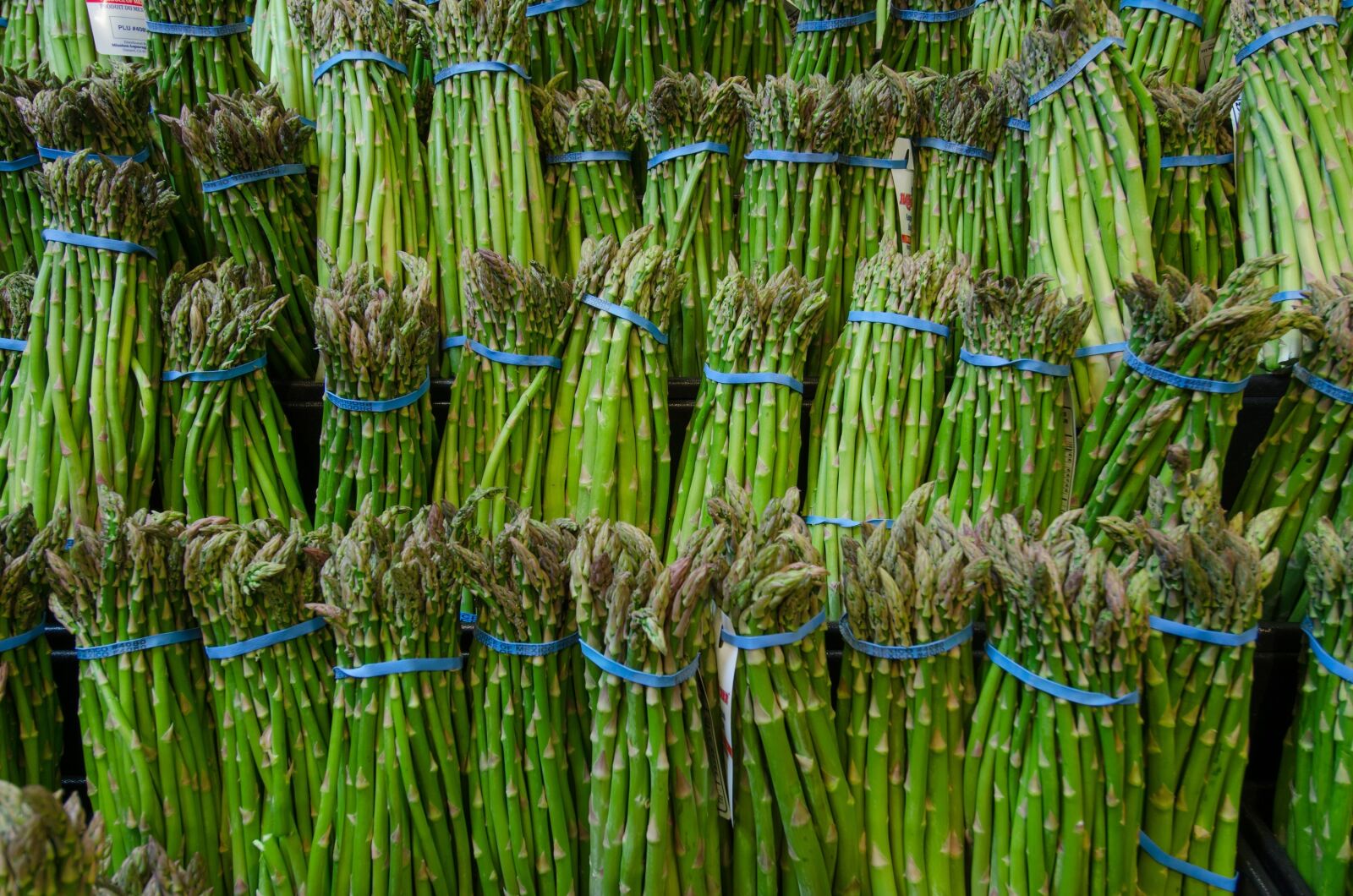 Nikon D7000 sample photo. Asparagus, display, grocery photography