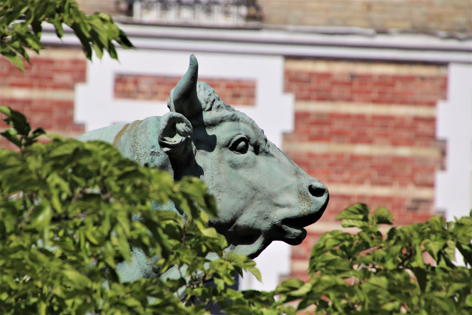 Canon EOS 800D (EOS Rebel T7i / EOS Kiss X9i) sample photo. Sculpture, bronze, bull photography