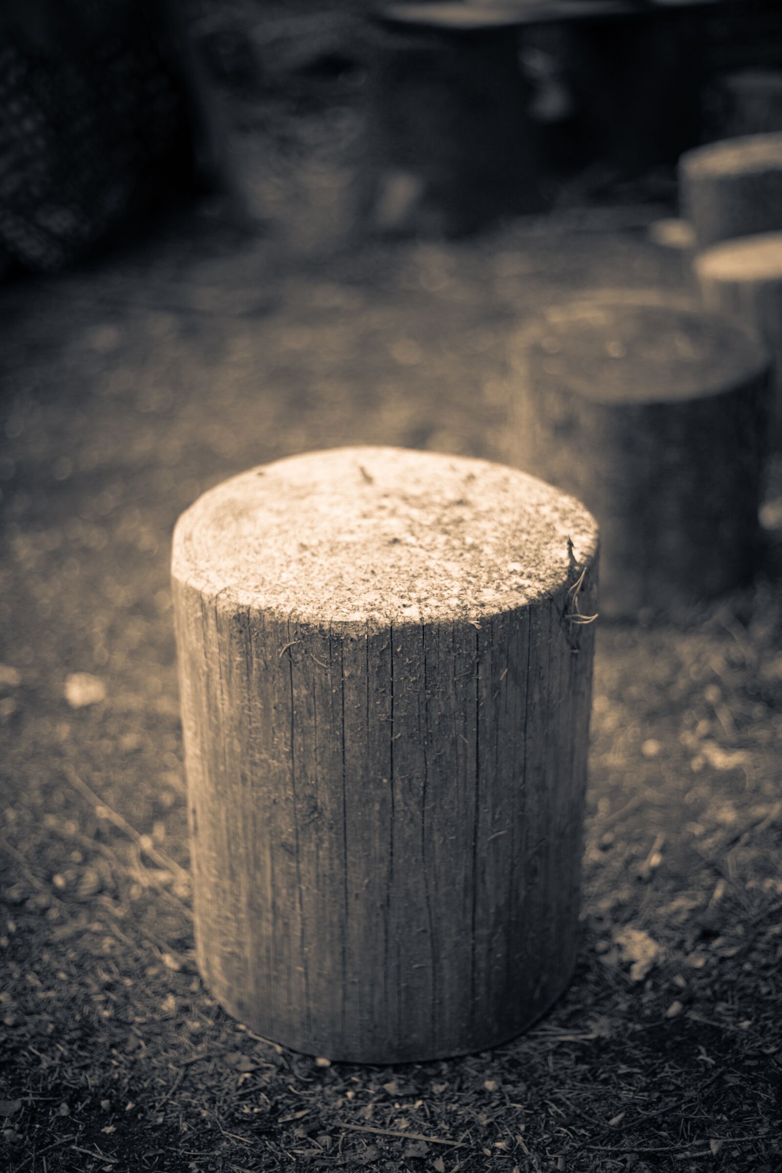 Canon EF 50mm F1.8 II sample photo. Wood stump, hack stock photography