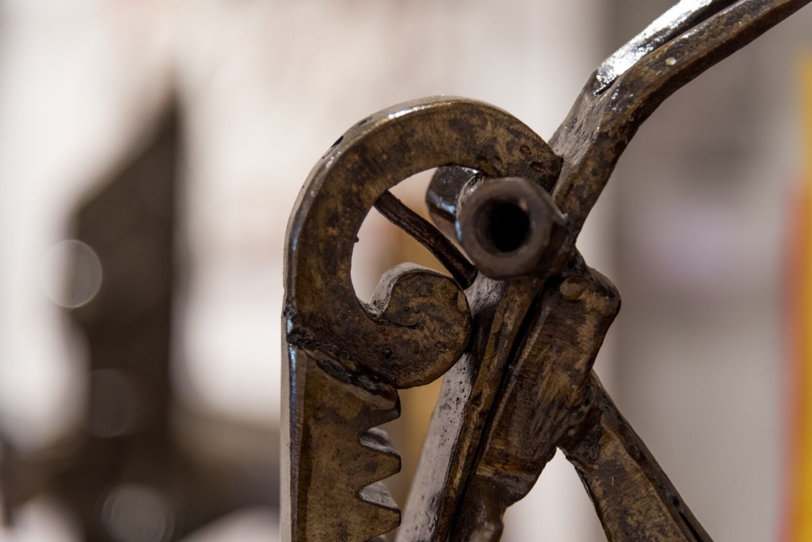 Nikon D750 sample photo. Capra, iron, horns photography