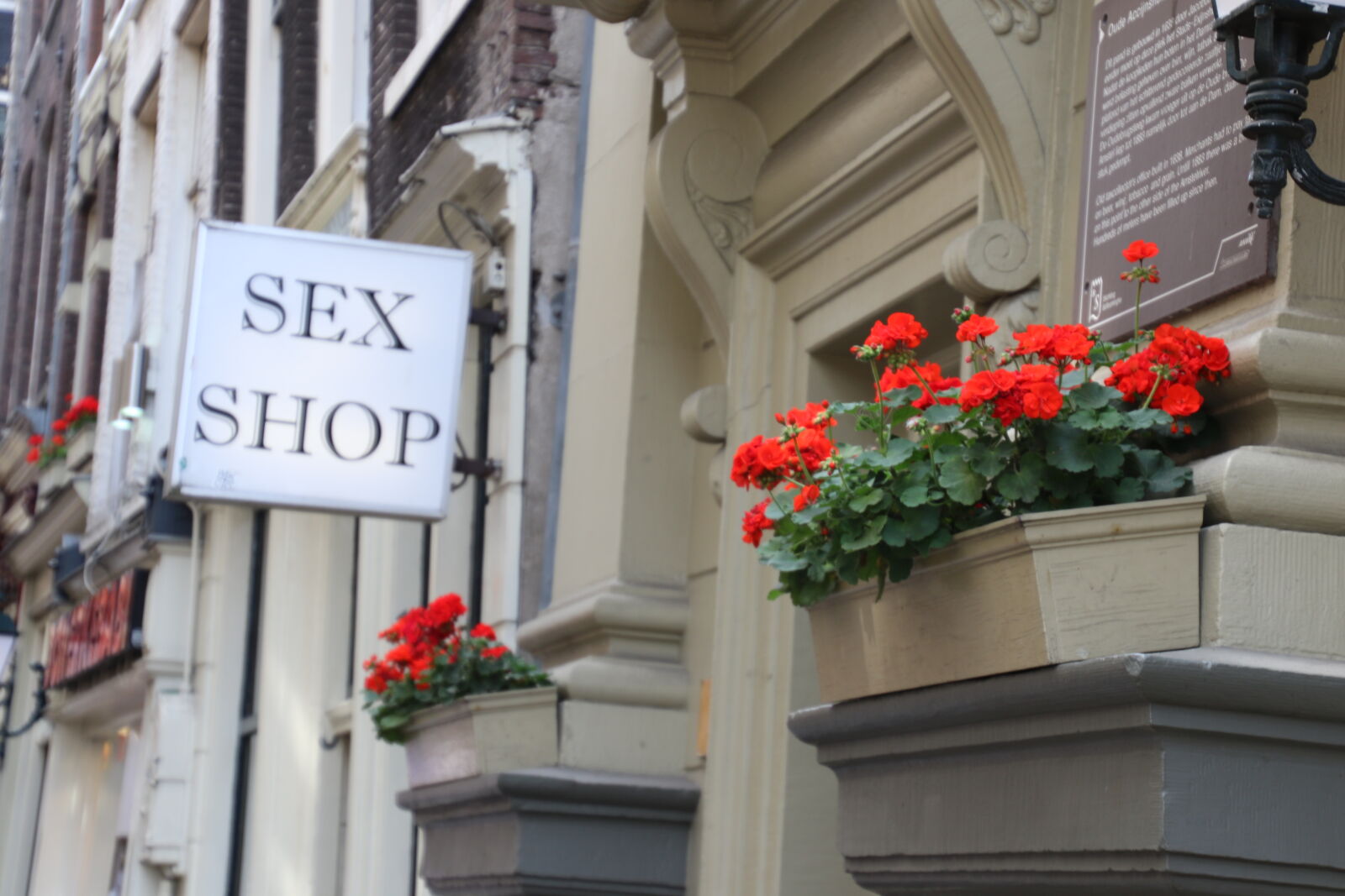 Canon EOS 7D Mark II sample photo. Amsterdam, experience, flowers, holland photography