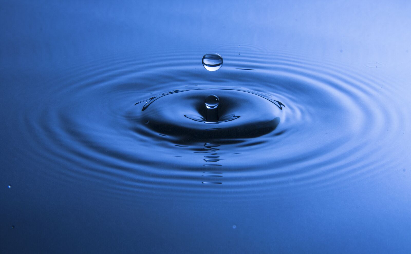 Canon EOS 1000D (EOS Digital Rebel XS / EOS Kiss F) sample photo. Water, water drop, droplet photography