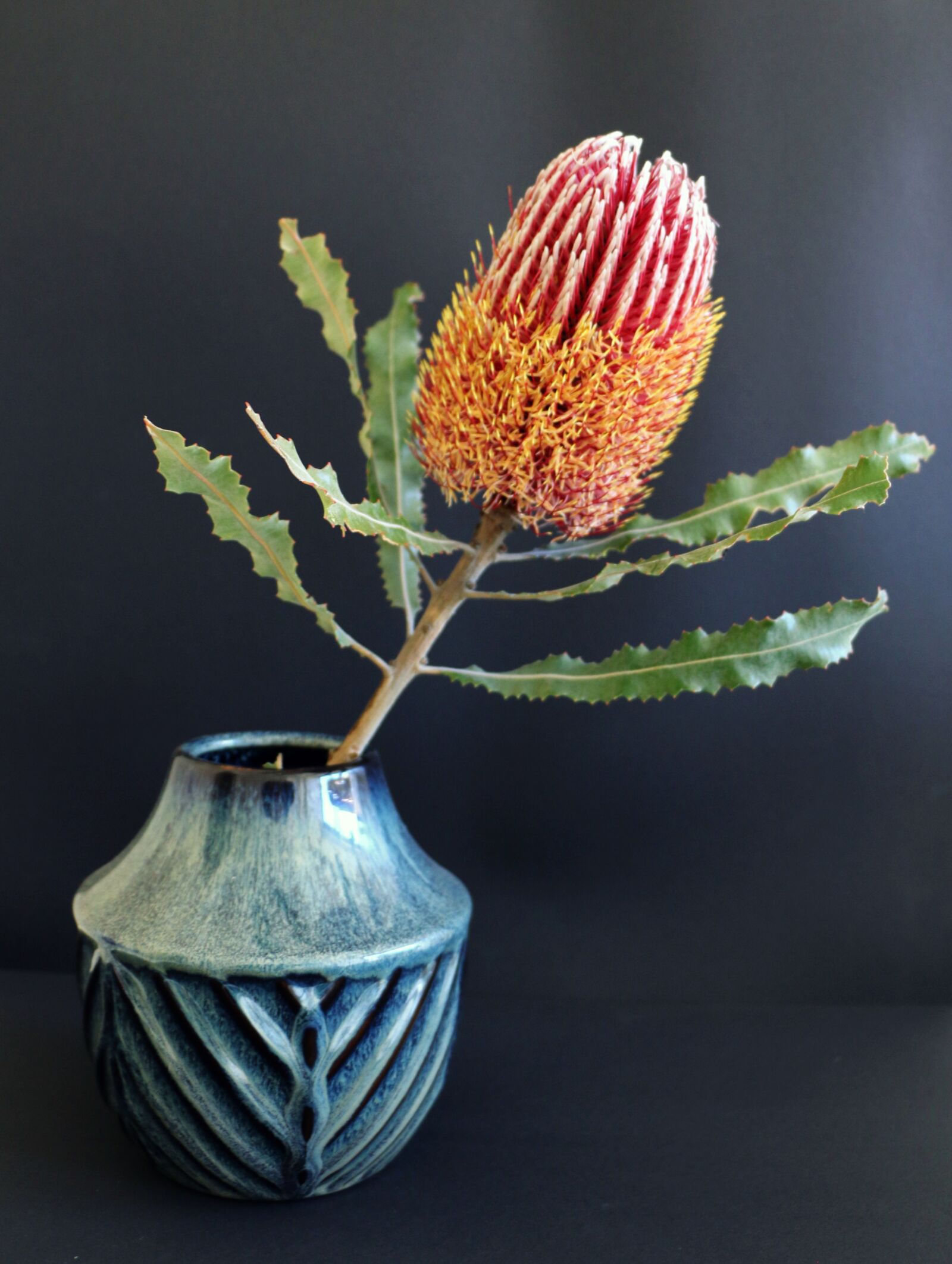 Canon EF-S 18-135mm F3.5-5.6 IS STM sample photo. Native, flower, banksia photography