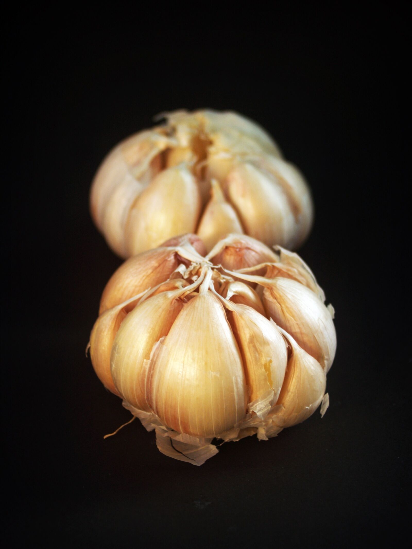 Olympus E-300 (EVOLT E-300) sample photo. Garlic, meals, white photography