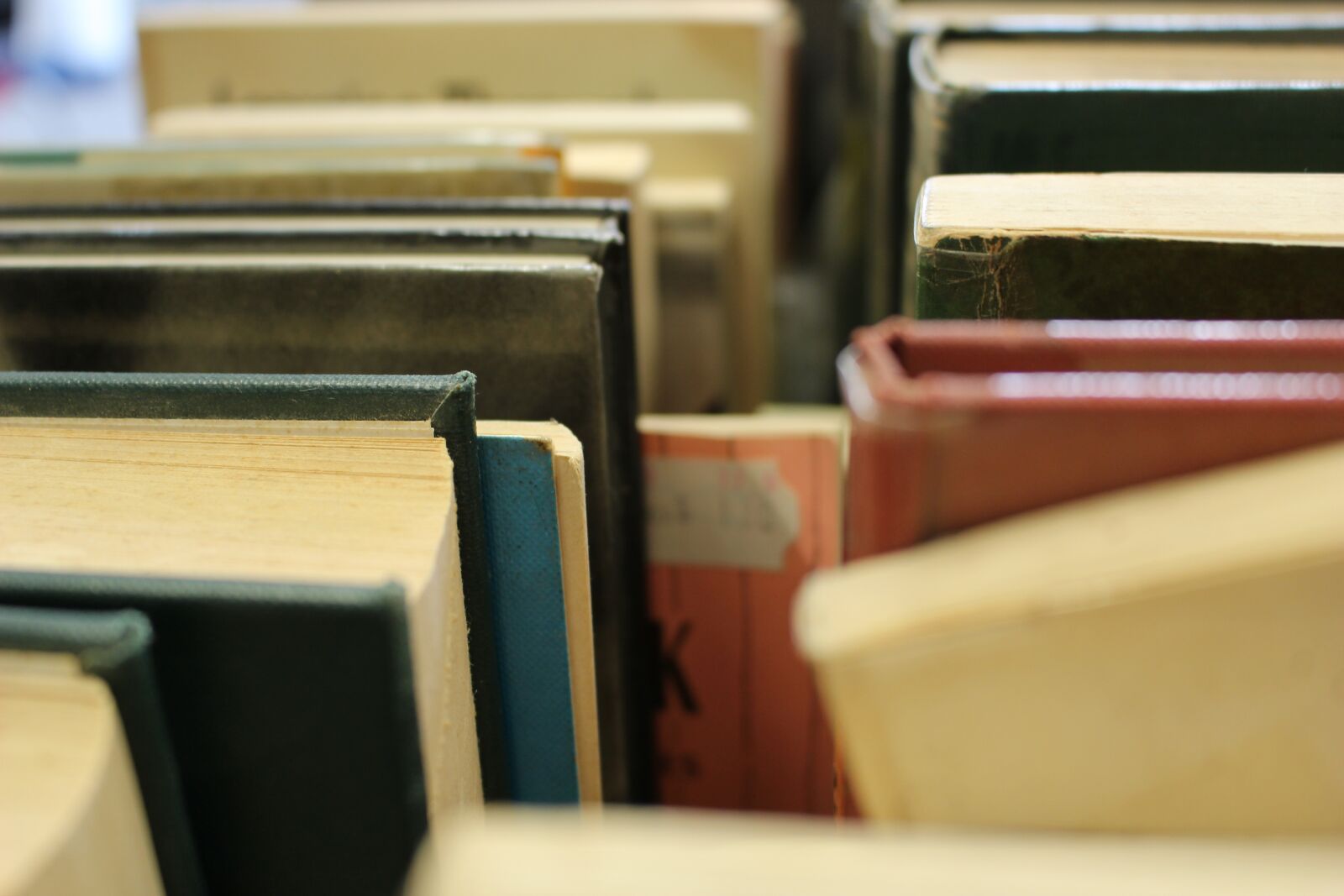 Canon EOS 100D (EOS Rebel SL1 / EOS Kiss X7) sample photo. Books, knowledge, education photography