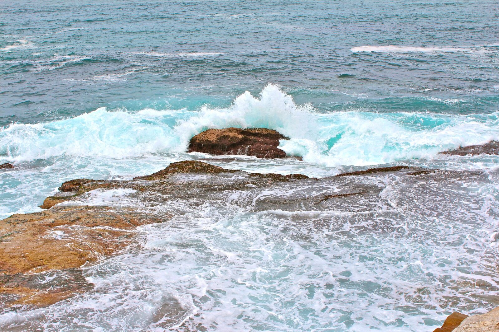 Canon EOS 600D (Rebel EOS T3i / EOS Kiss X5) sample photo. Australia, sydney, bondi photography