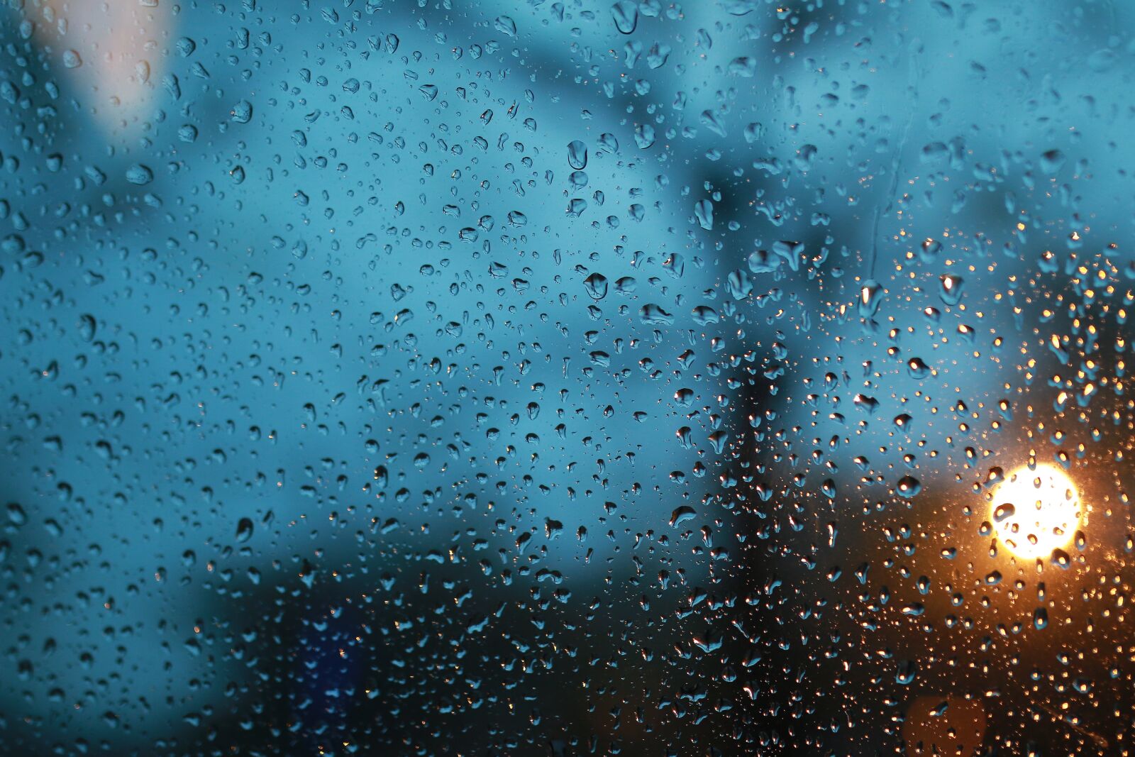 Canon EOS 70D sample photo. Raindrops, glass, rain king photography