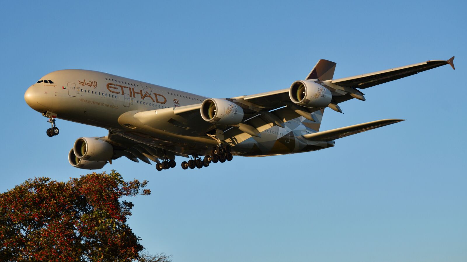 Nikon D7100 sample photo. The plane, aircraft, jet photography