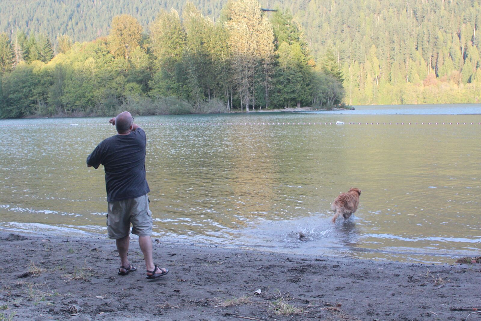 Canon EF 28-105mm f/3.5-4.5 USM sample photo. Lake, dog, water photography