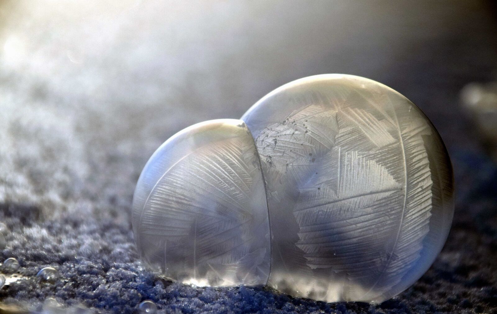 Nikon D3300 sample photo. Winter, cold, ice, macro photography