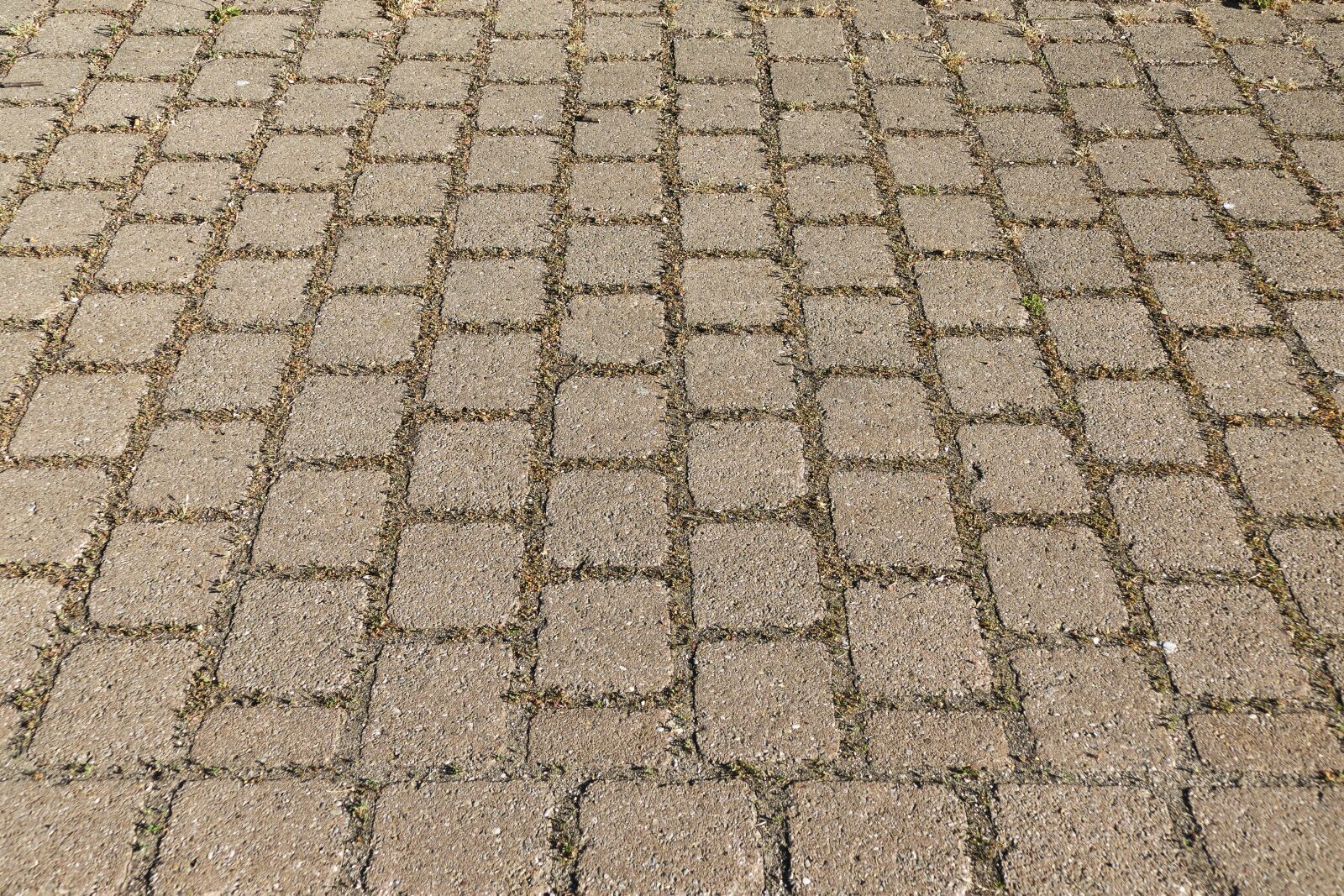 Panasonic Lumix DMC-FZ1000 sample photo. Patch, flooring, paving stones photography