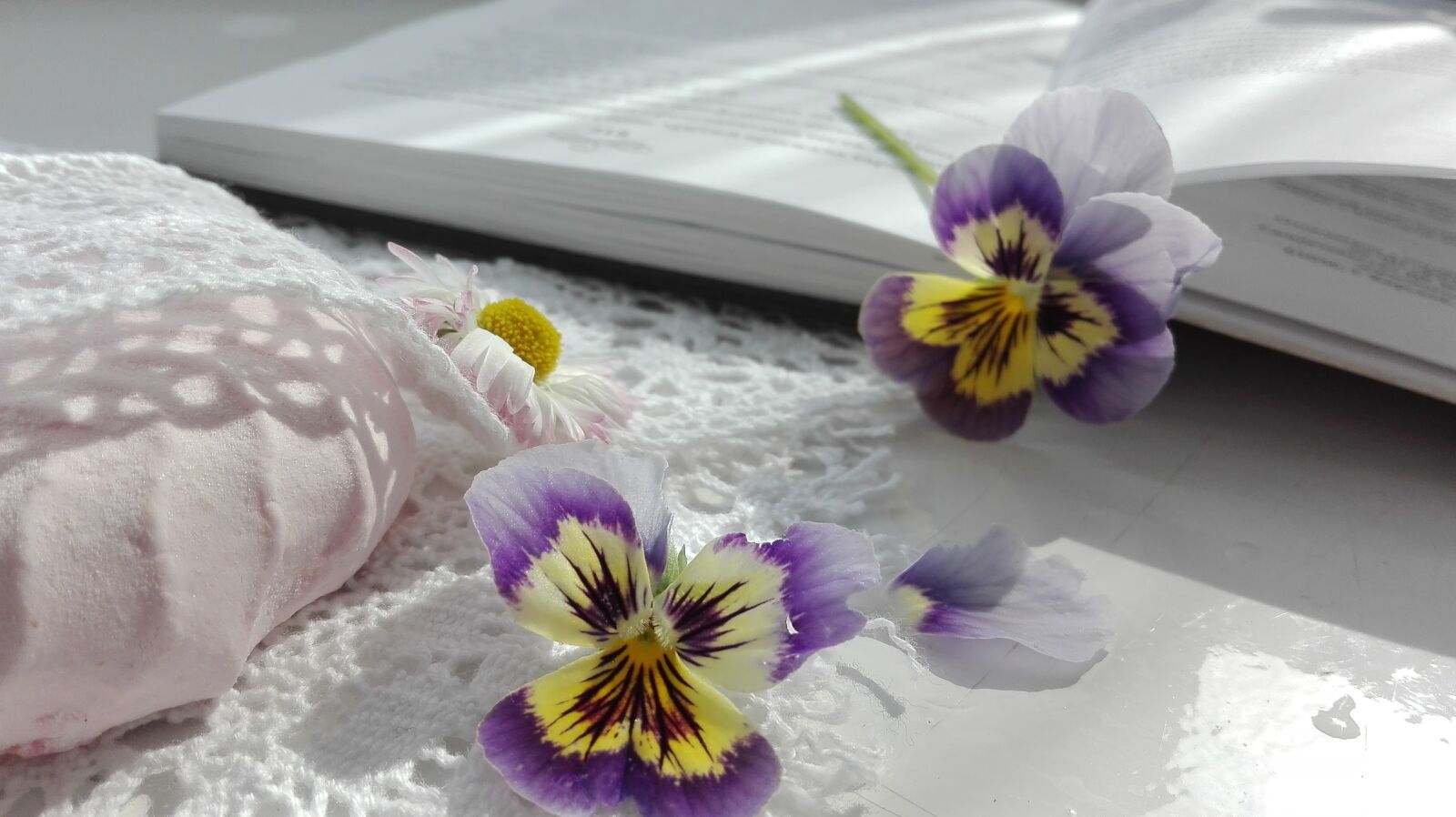 HUAWEI Cherry Mini sample photo. Books, flowers, zephyr photography