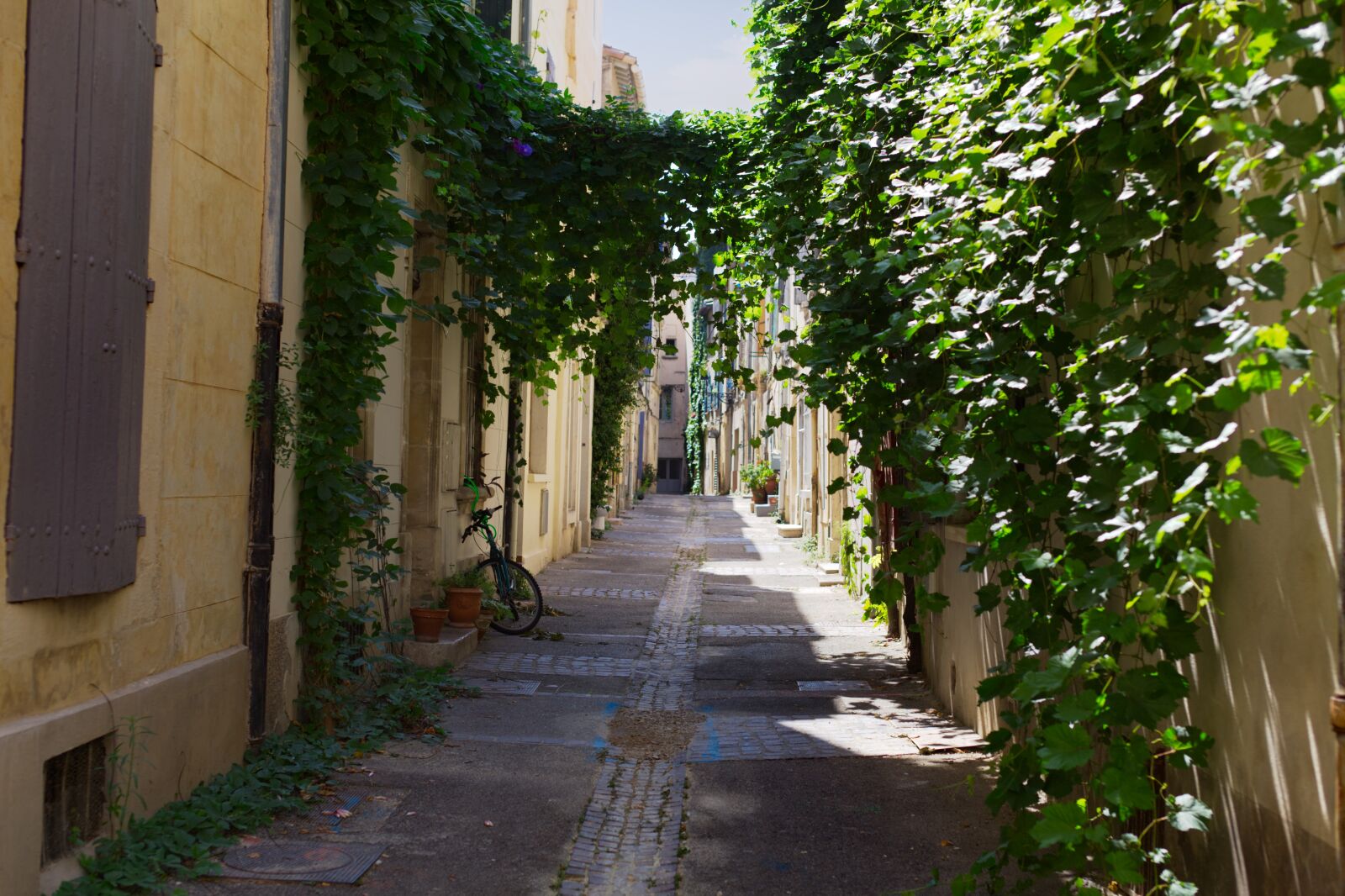 Canon EOS 5D Mark II sample photo. France, arles, provence photography