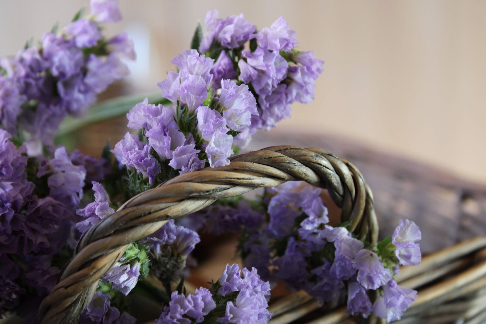 Canon EOS 2000D (EOS Rebel T7 / EOS Kiss X90 / EOS 1500D) sample photo. Sea lavender, violet, feeling photography