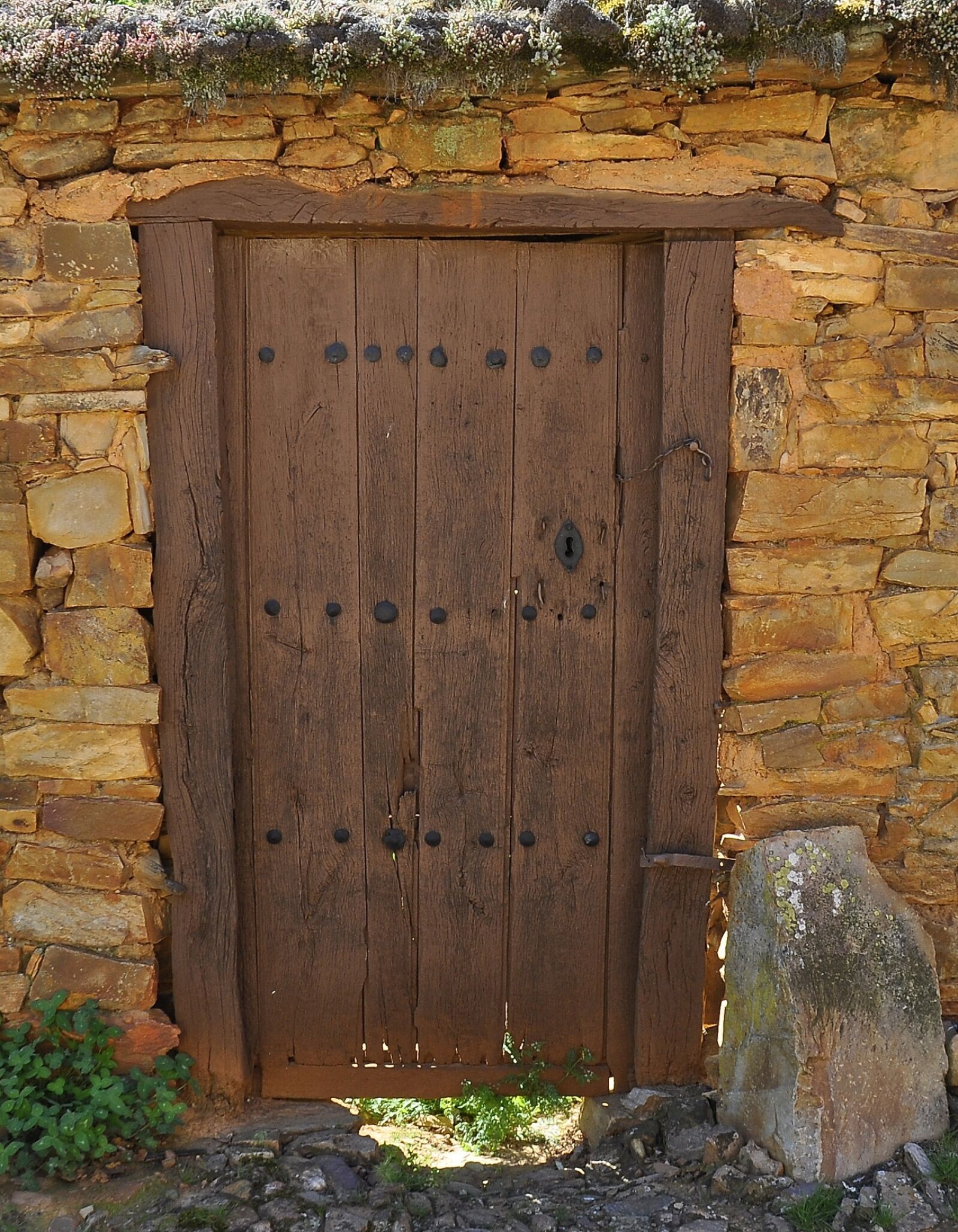 Nikon D5000 sample photo. Door, wood, weathered photography