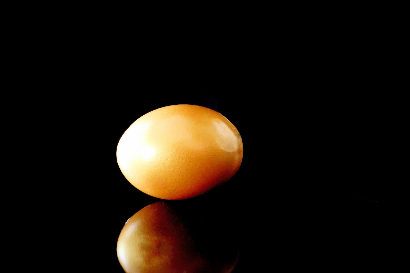 Panasonic Lumix DMC-LX10 (Lumix DMC-LX15) sample photo. Egg, live, survival photography