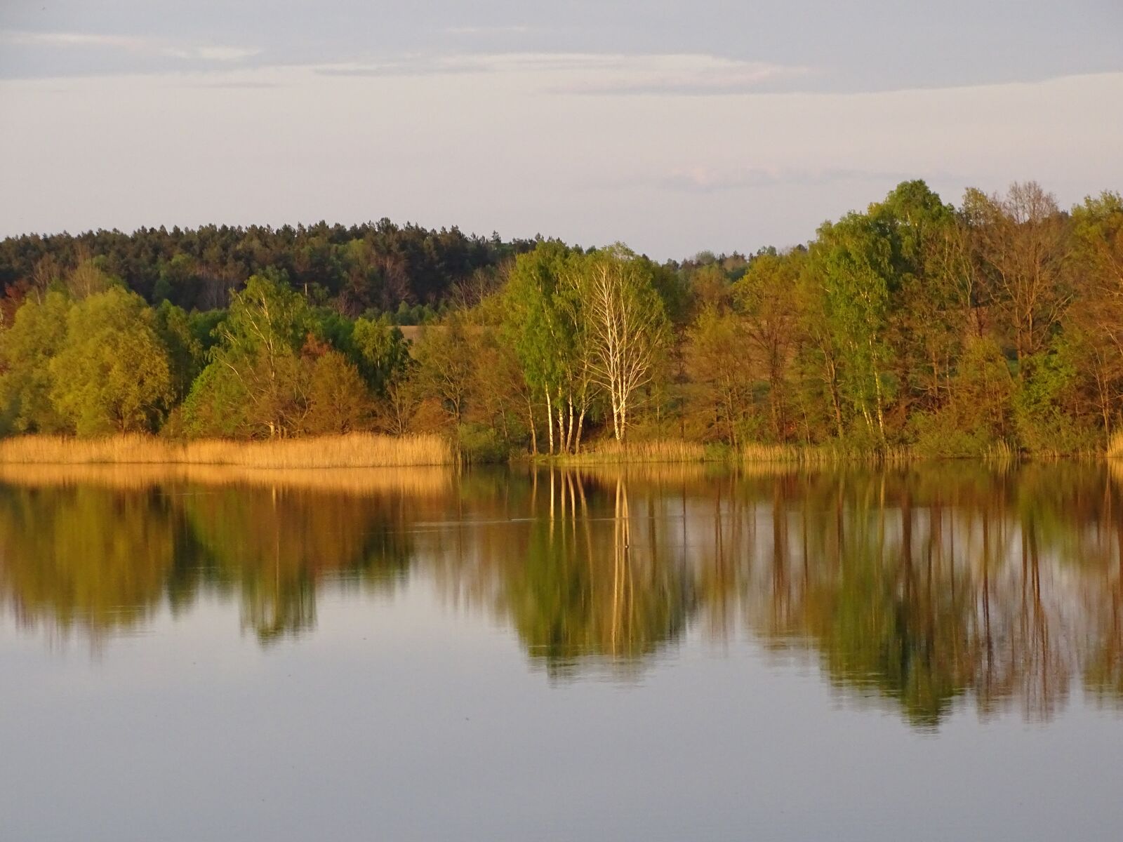 Sony Cyber-shot DSC-HX400V sample photo. Lake, forest, landscape photography