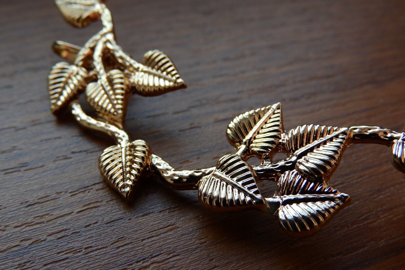 Nikon Coolpix P610 sample photo. Golden jewel, detail, big photography