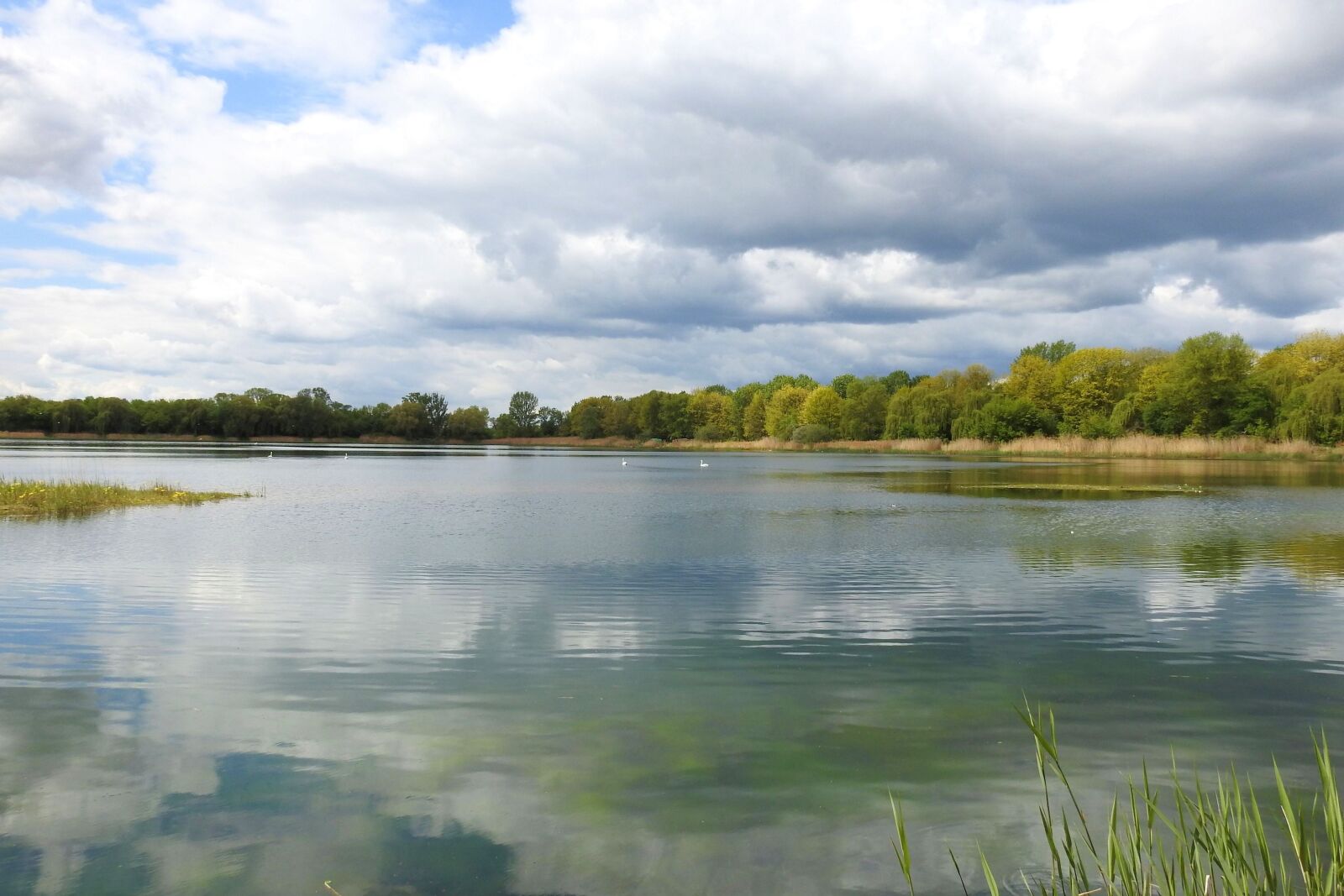 Nikon Coolpix P900 sample photo. Waters, reflection, nature photography