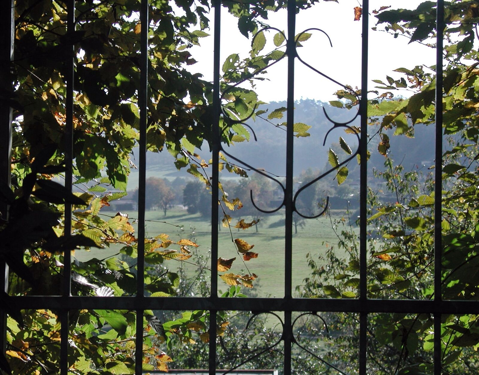 EPSON PhotoPC 3000Z sample photo. Garden gate, goal, old photography