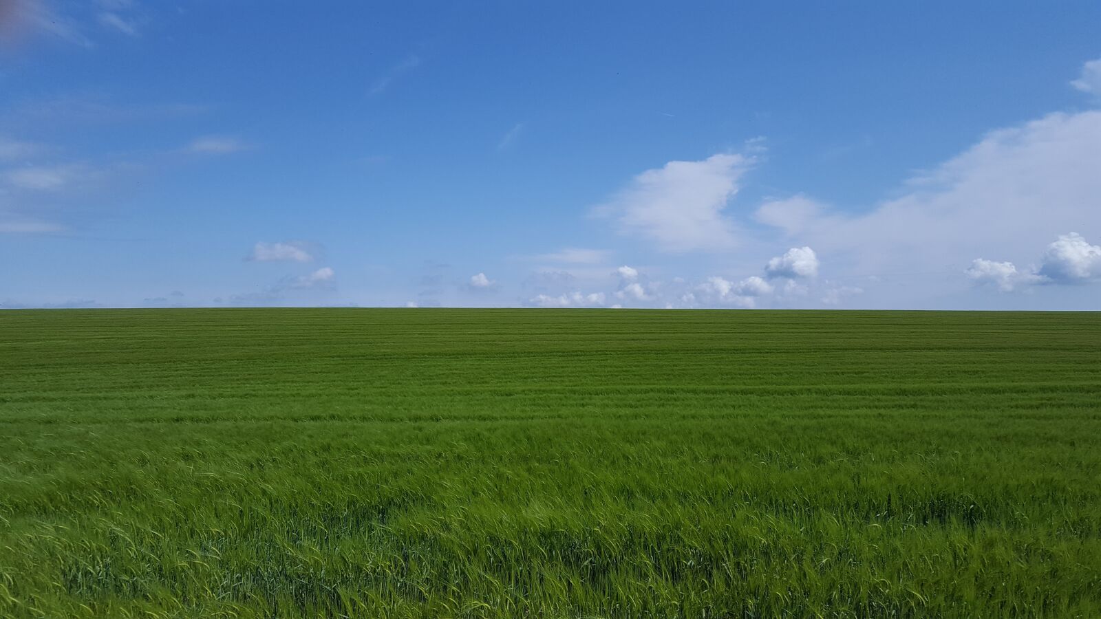 Samsung Galaxy S6 sample photo. Dorset, cornfields, blue skies photography