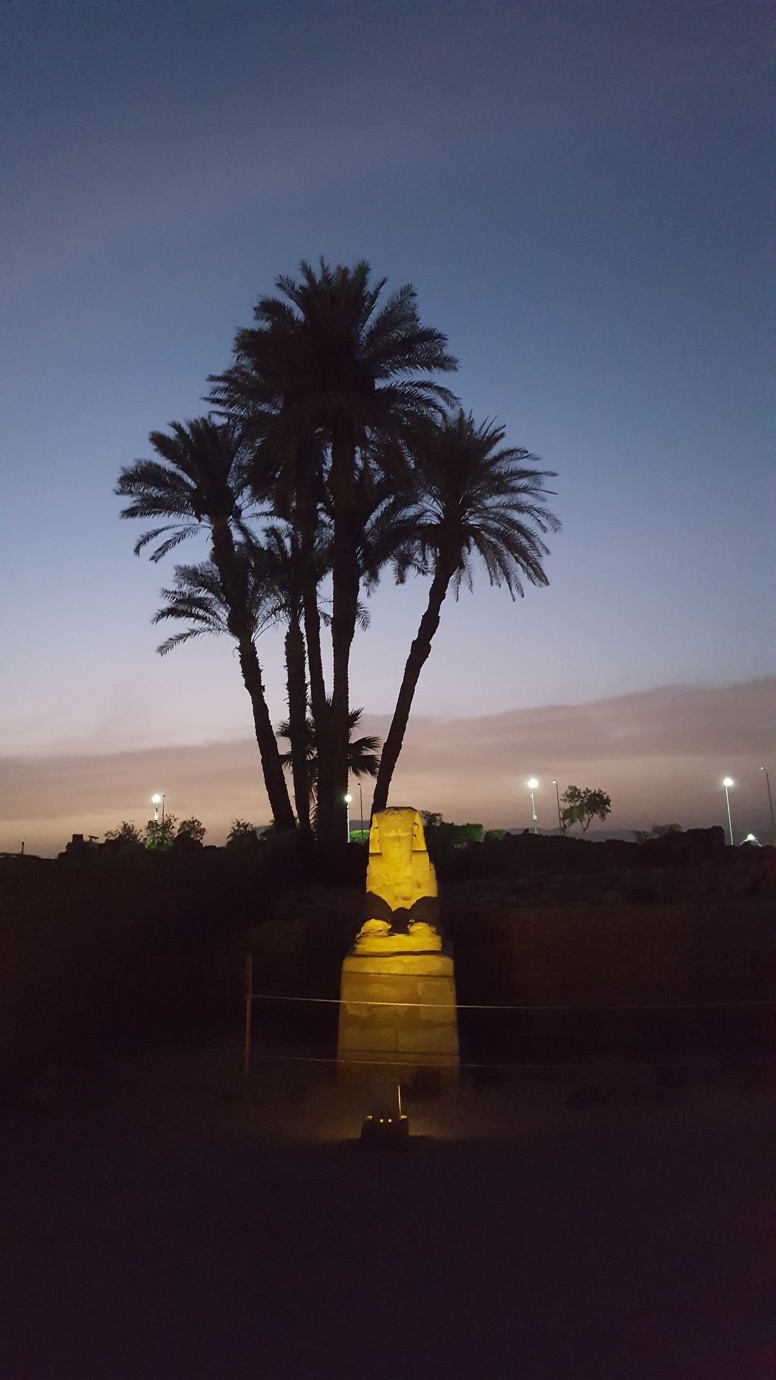 Samsung GALAXY S6 edge sample photo. Luxor, egypt, palm trees photography