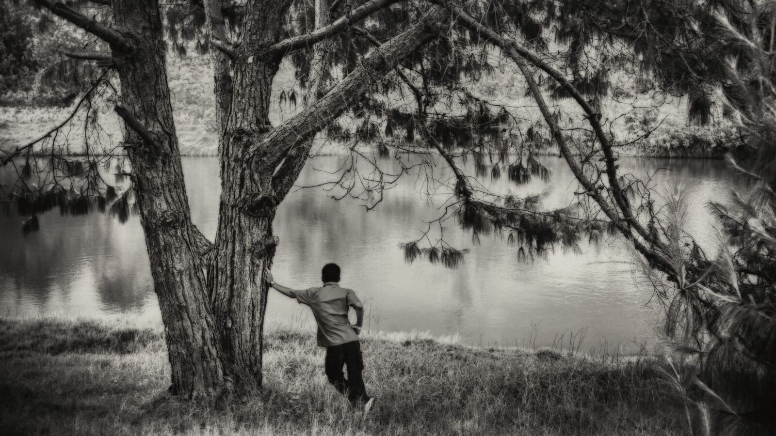 Nikon D5100 sample photo. Lake, lonely, black and photography