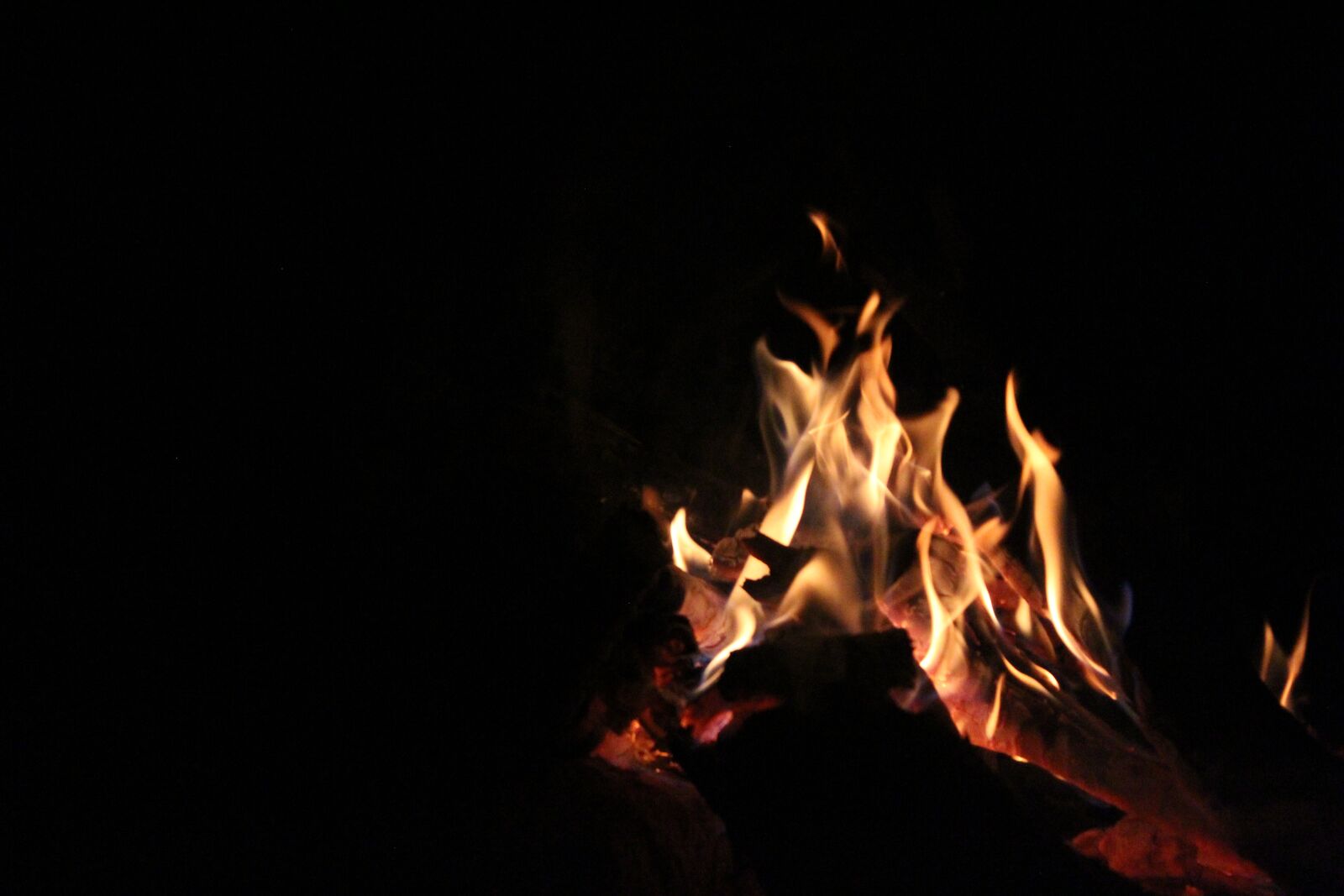 Canon EOS 1300D (EOS Rebel T6 / EOS Kiss X80) sample photo. Naturaleza, fuego, flames photography