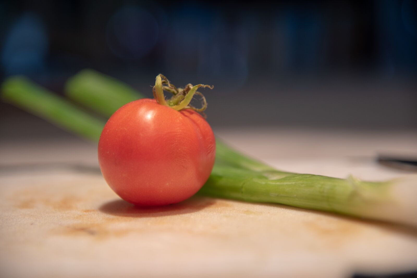 Nikon D750 sample photo. Cooking, tomato, onion photography