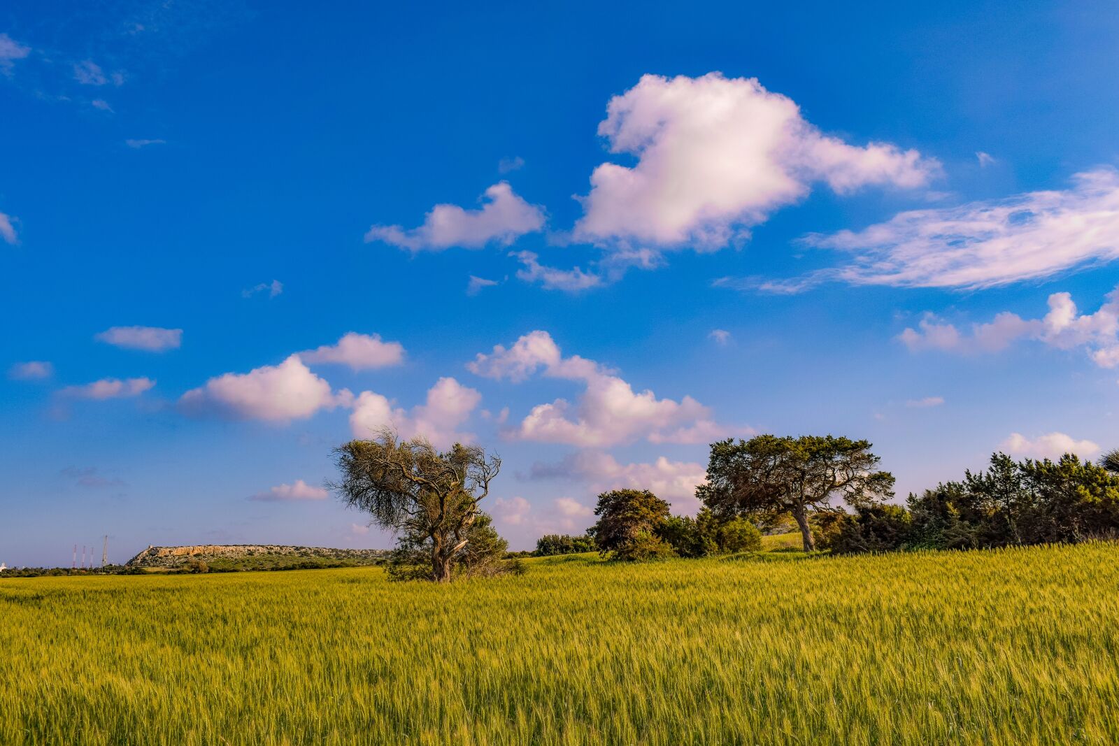 Nikon D3300 sample photo. Nature, field, landscape photography