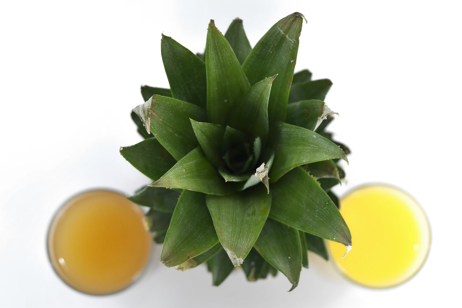Nikon D5500 sample photo. Angle, fruit juice, green photography