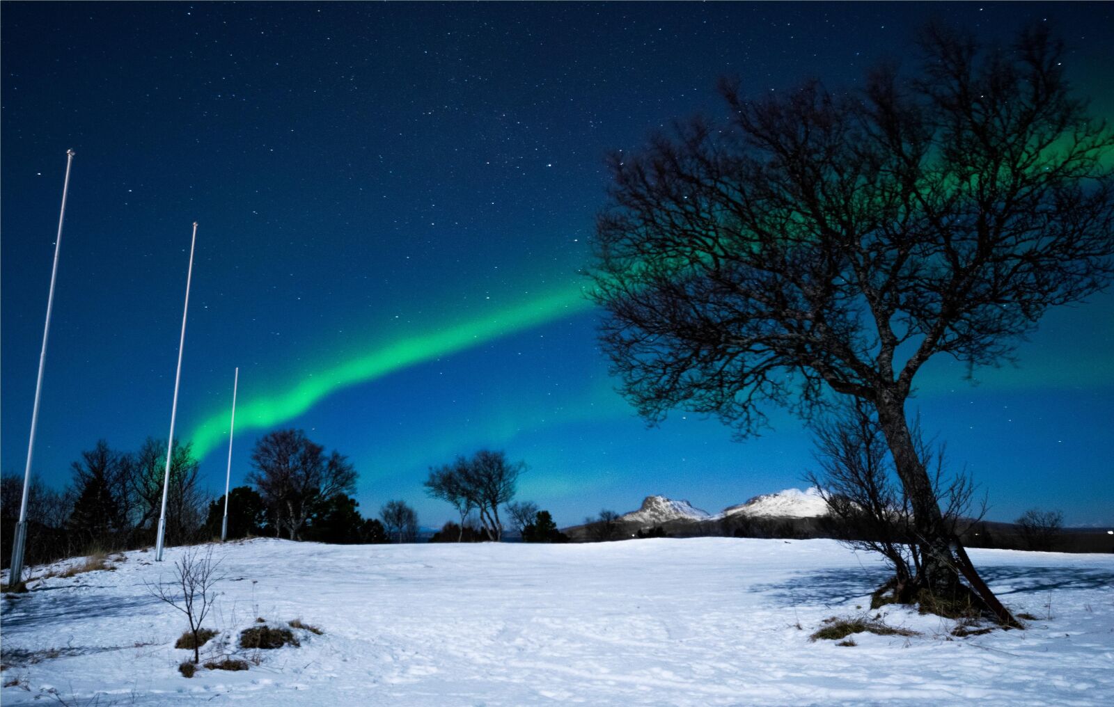 Nikon D5300 sample photo. Northern lights, sky, three photography