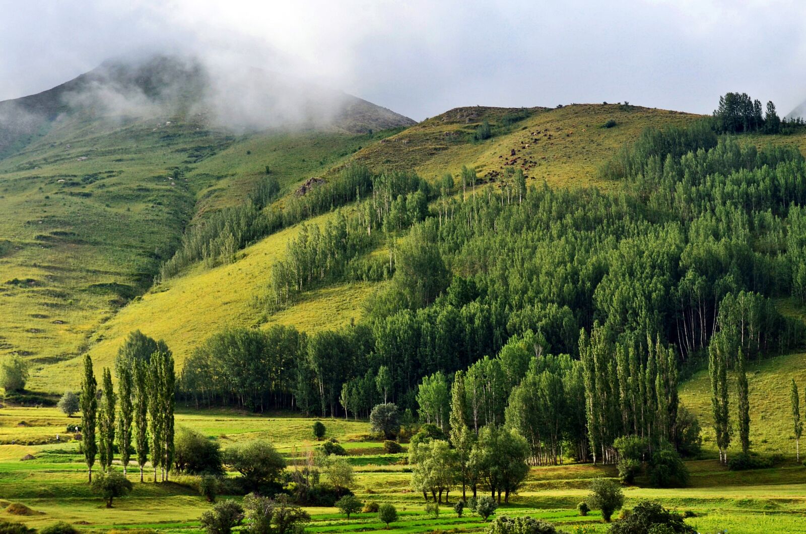 Nikon D5100 sample photo. Nature, landscape, kaçkars photography