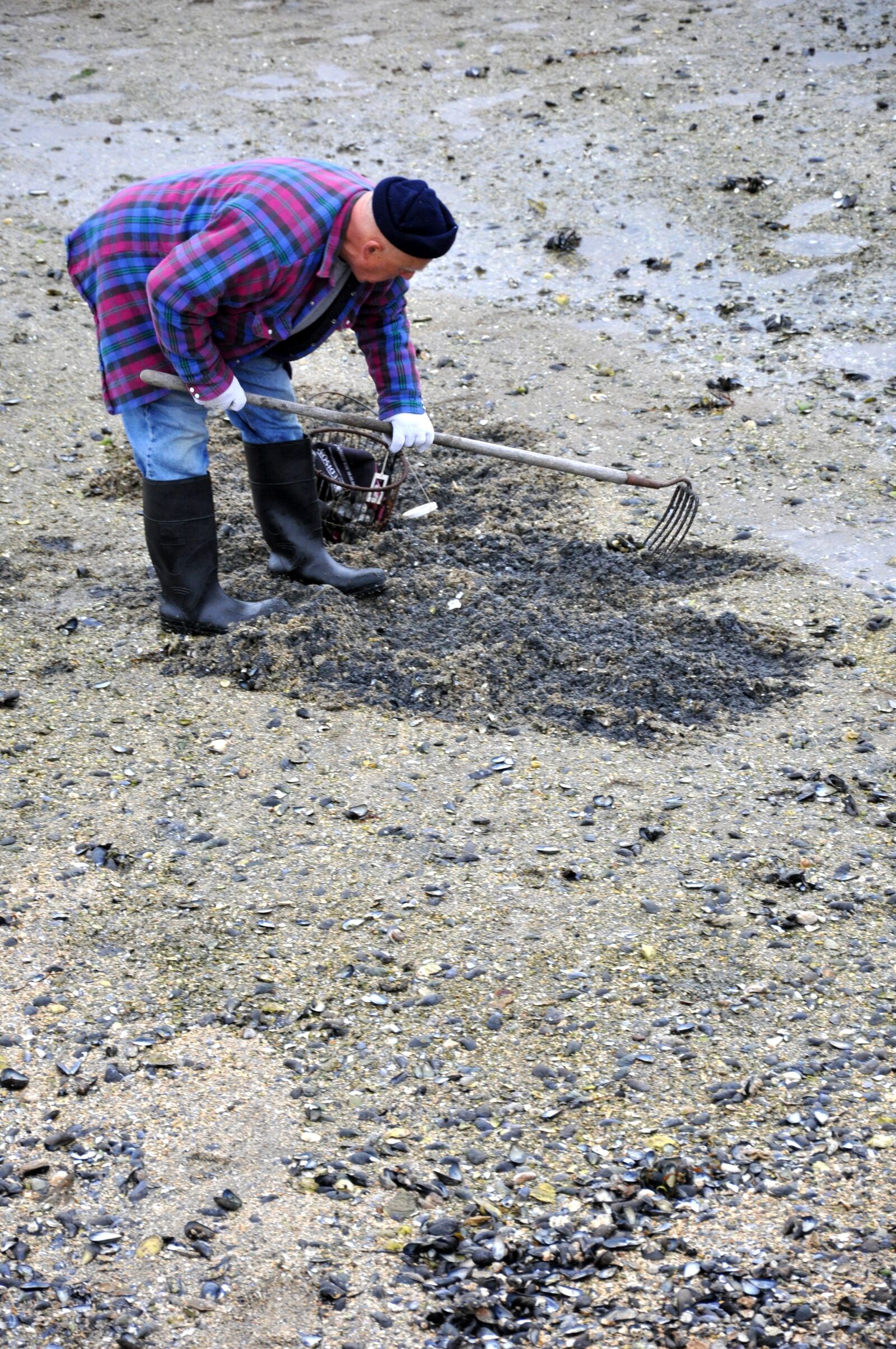 Nikon D90 sample photo. Clam digger, clams, beach photography
