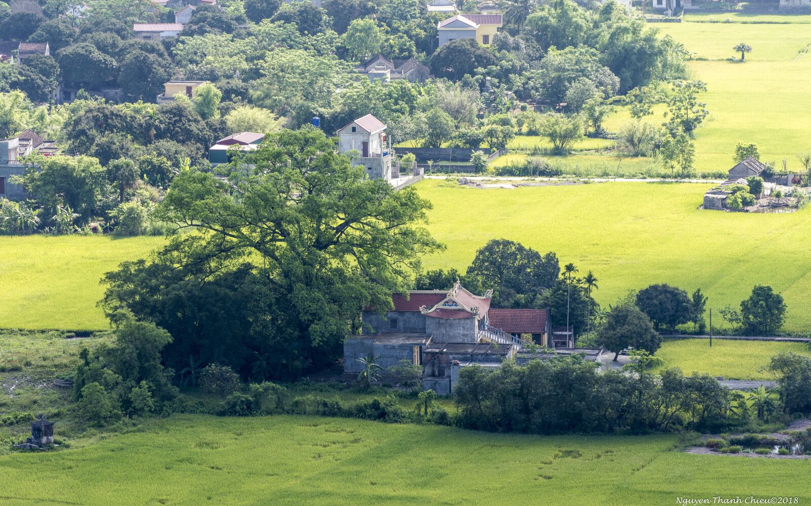 Nikon D7200 sample photo. Tree, landscape, scenery photography