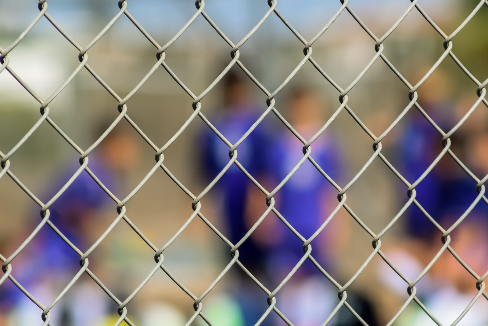 Nikon D3300 sample photo. Fence, metallic, wire photography