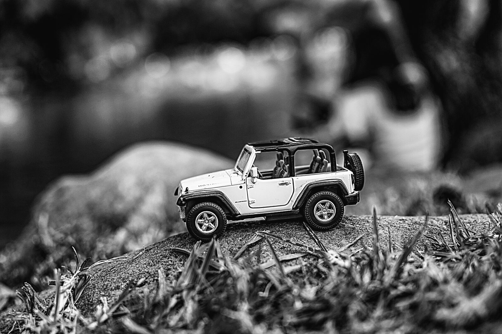 Nikon D3300 sample photo. Trolley, toy, vintage photography