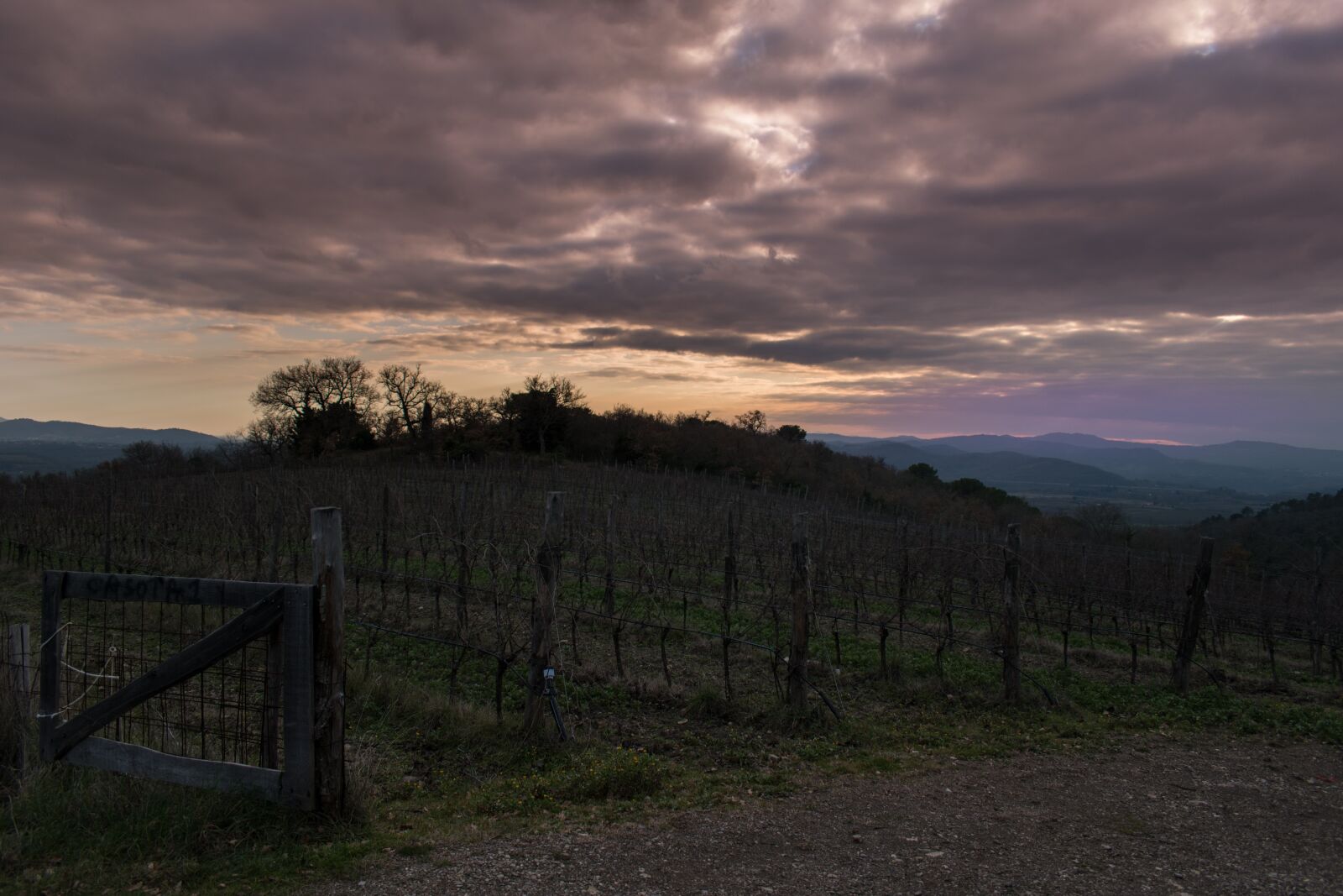 Nikon D5600 sample photo. Tuscany, countryside, panorama photography