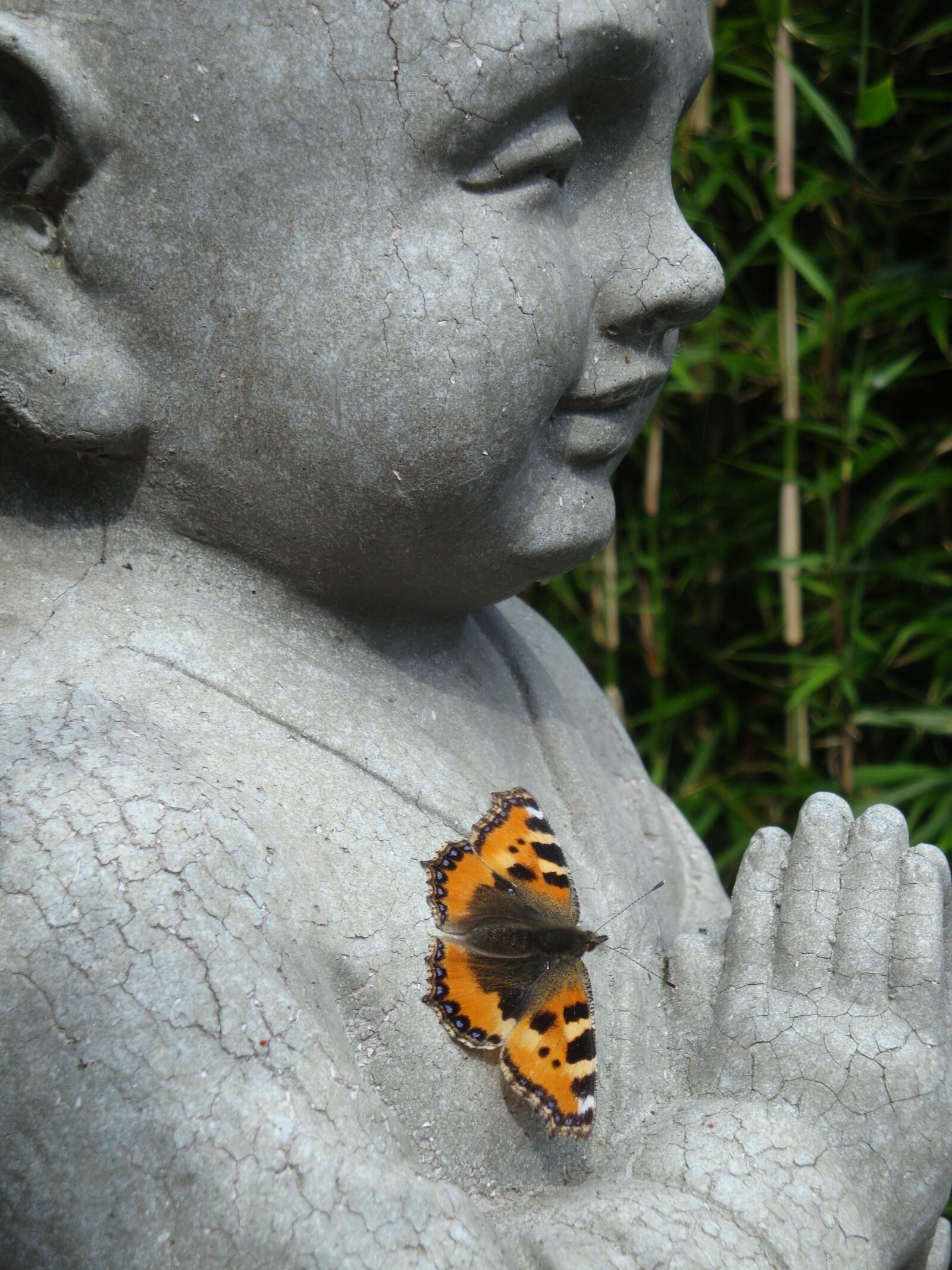Sony Cyber-shot DSC-W170 sample photo. Butterfly, buddha, rest photography