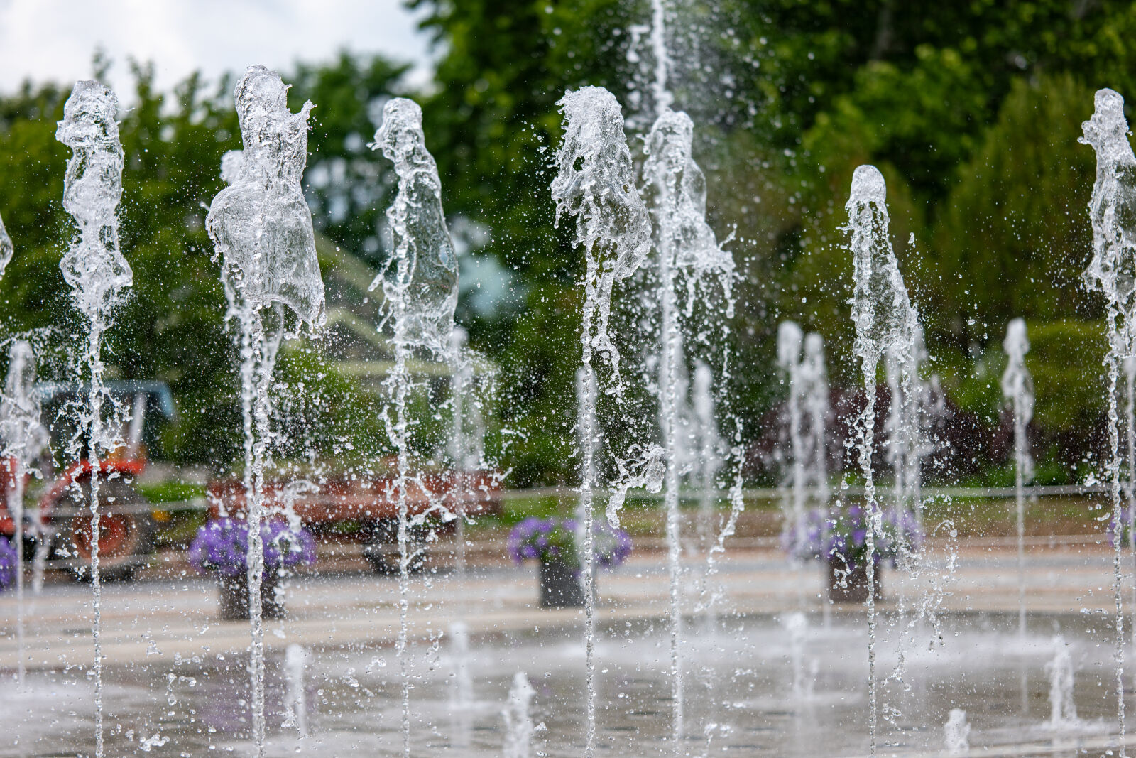 Nikon Z8 sample photo