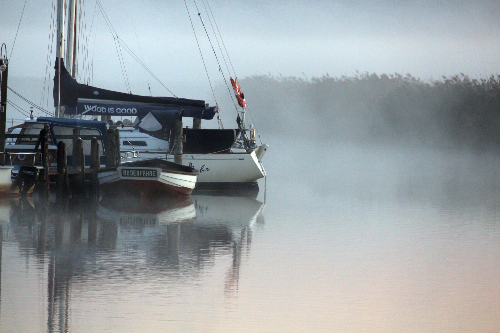 Canon EF-S 55-250mm F4-5.6 IS STM sample photo. Morning mist, fog, baabe photography