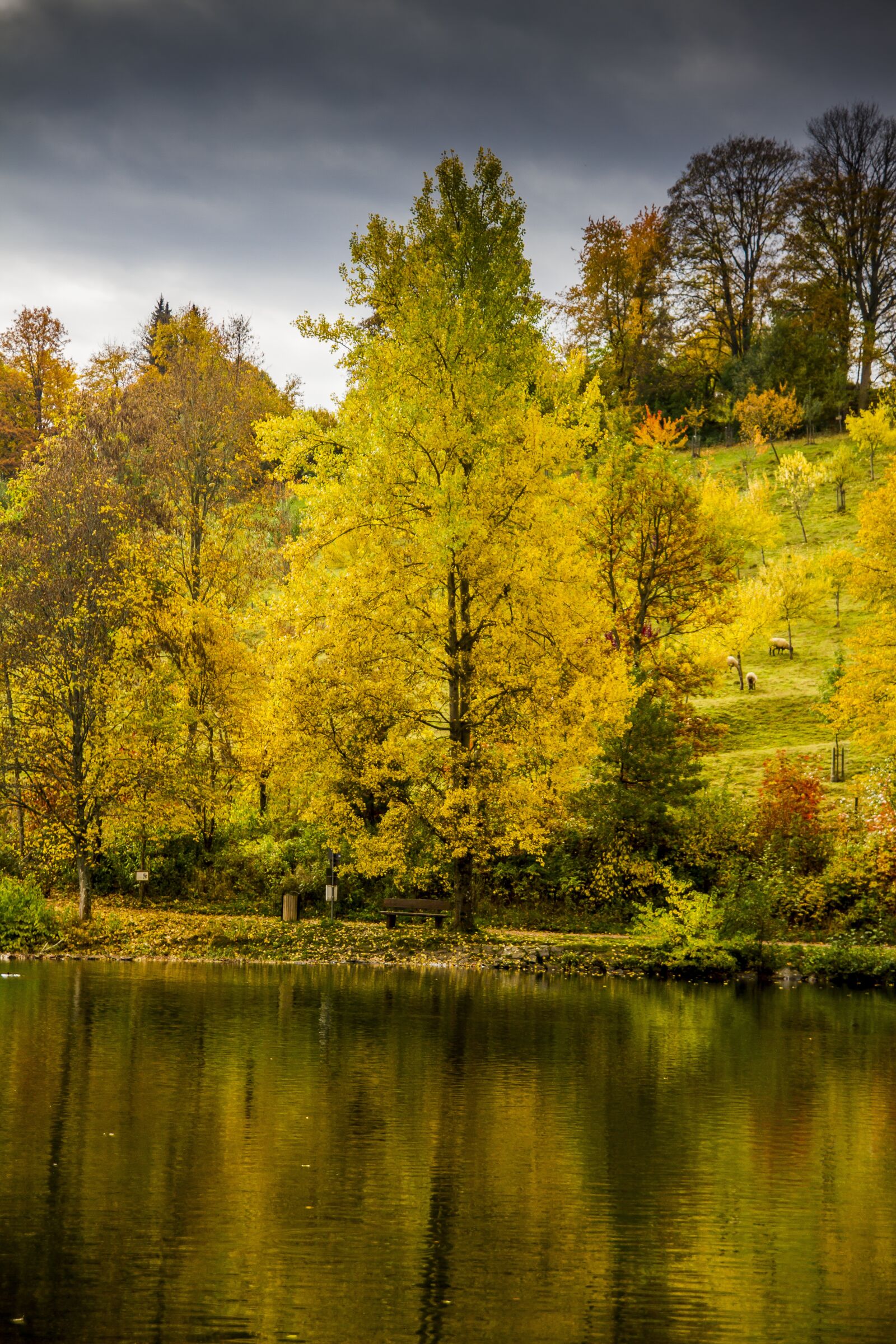 Canon EOS 7D sample photo. Autumn, lake, silent photography